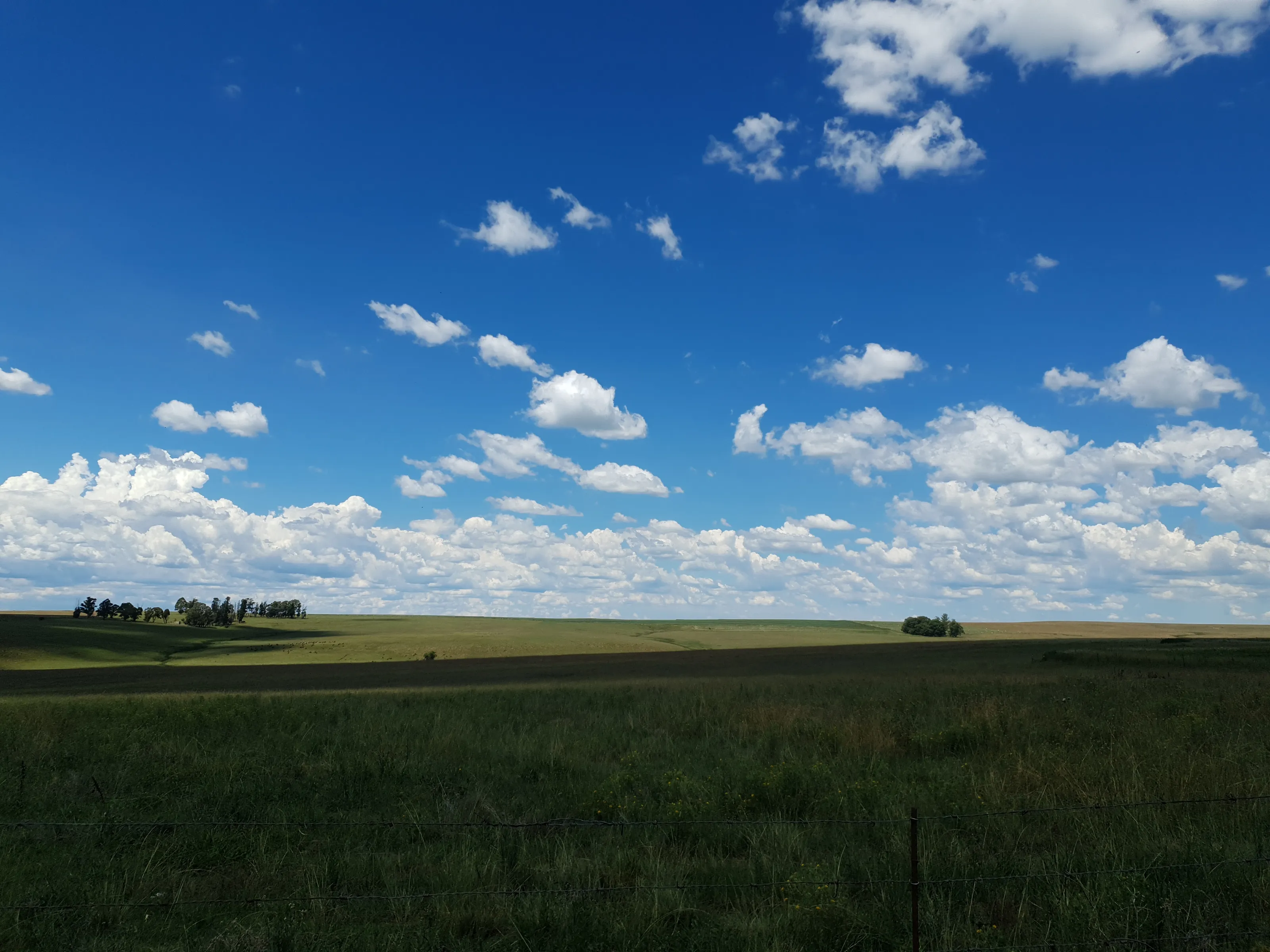 Flat Clouds