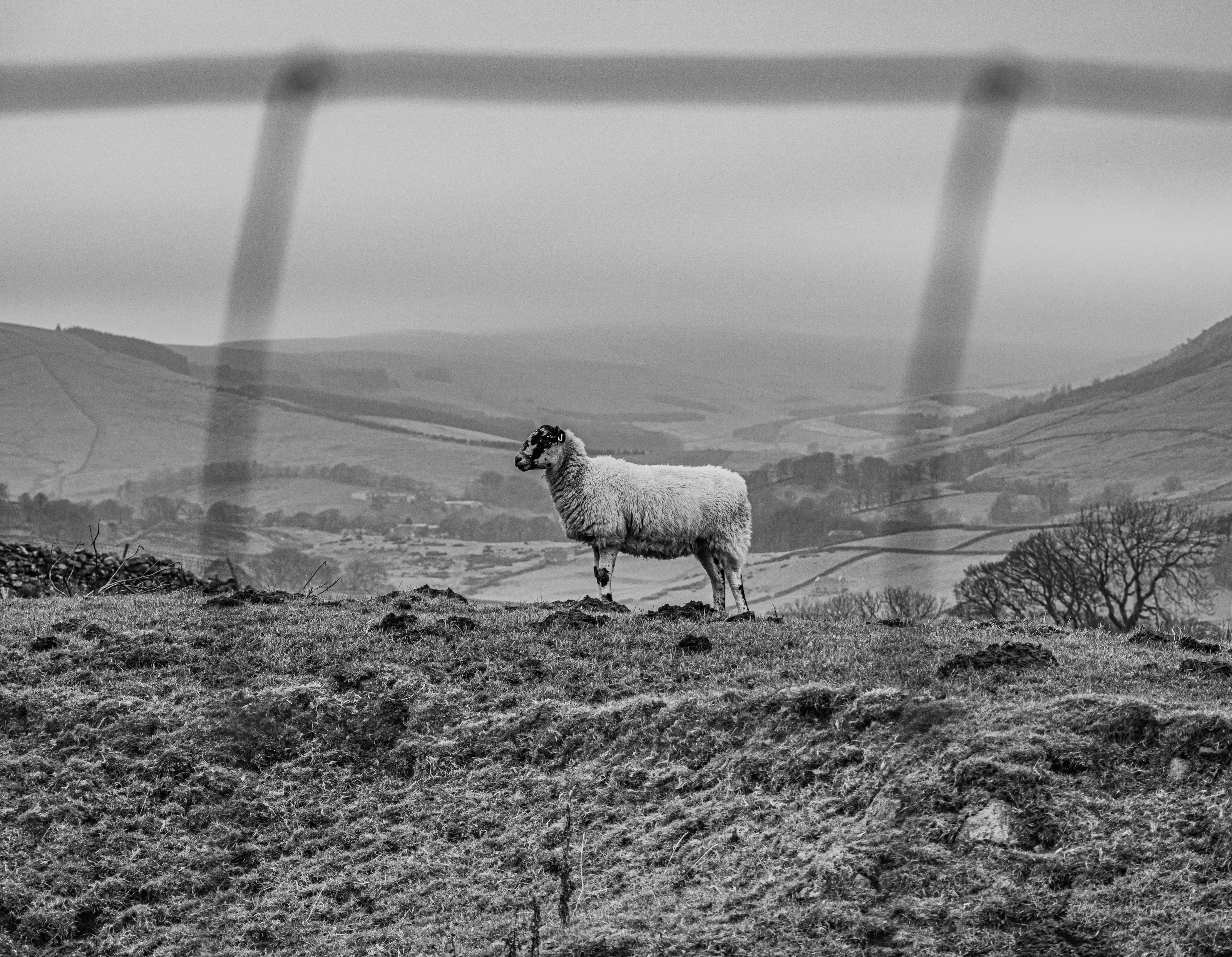 Monument to Ewe