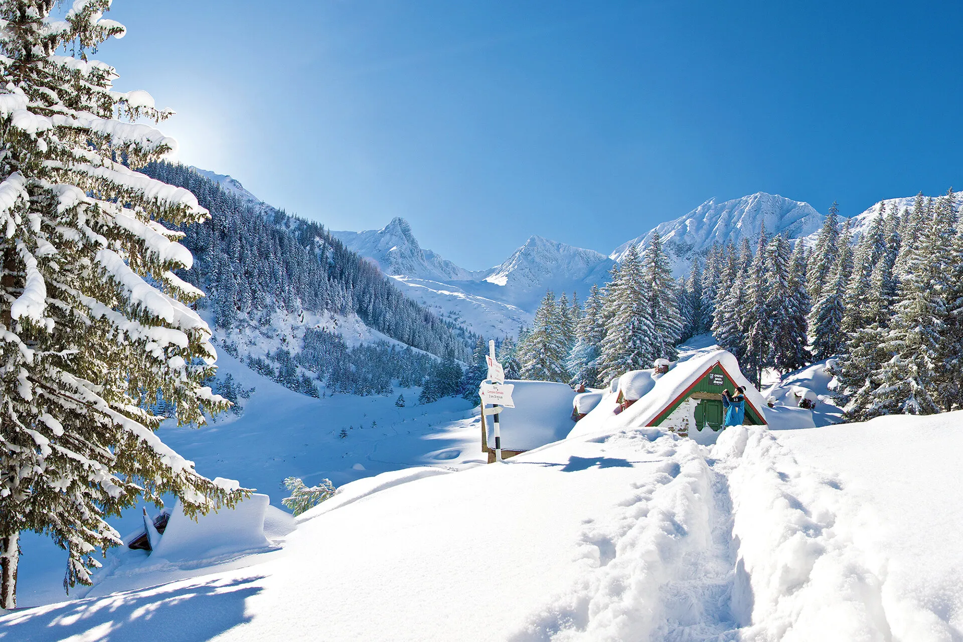 Fagaras mountains