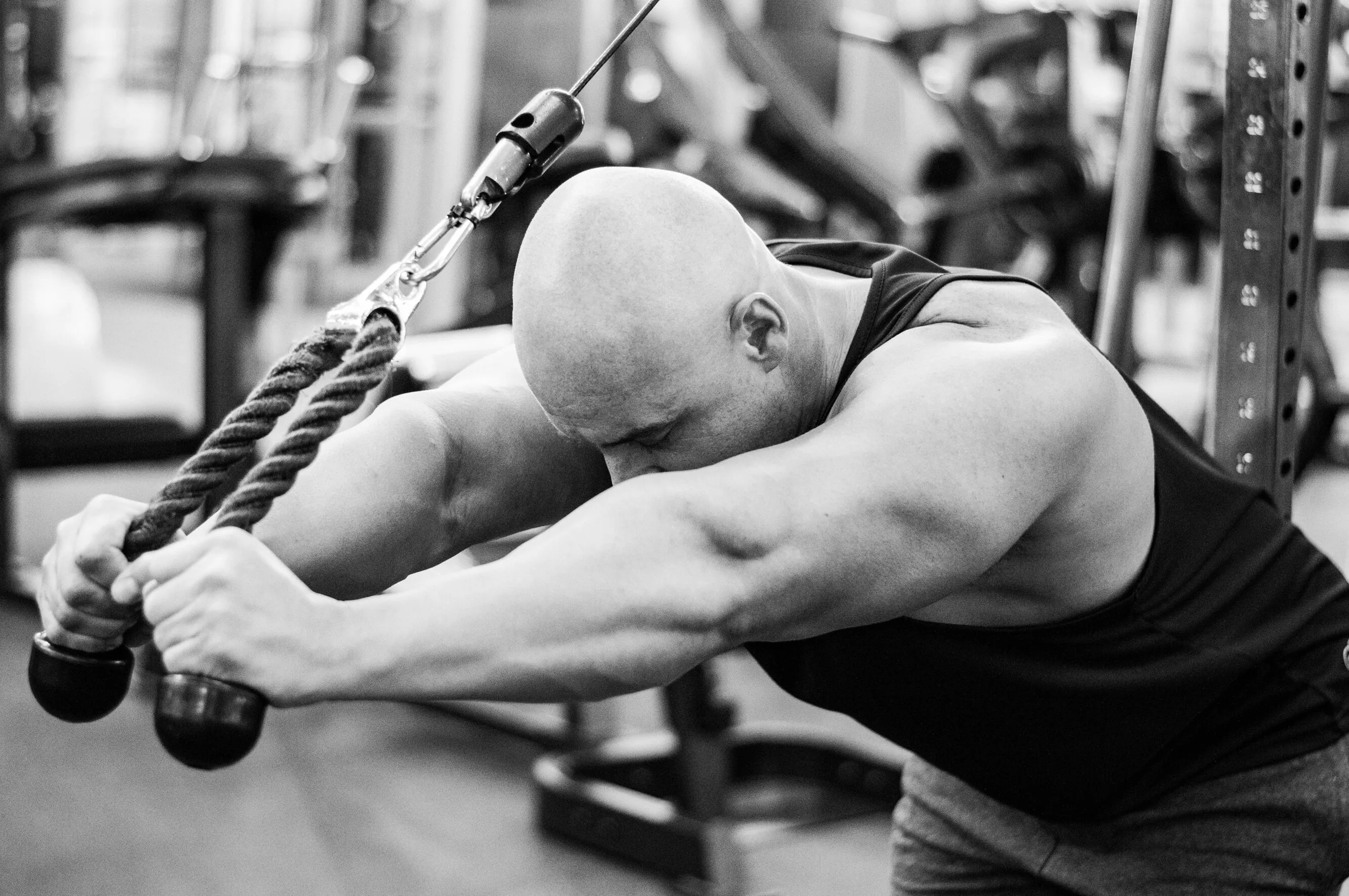 Gym Workouts and Gym Equipment