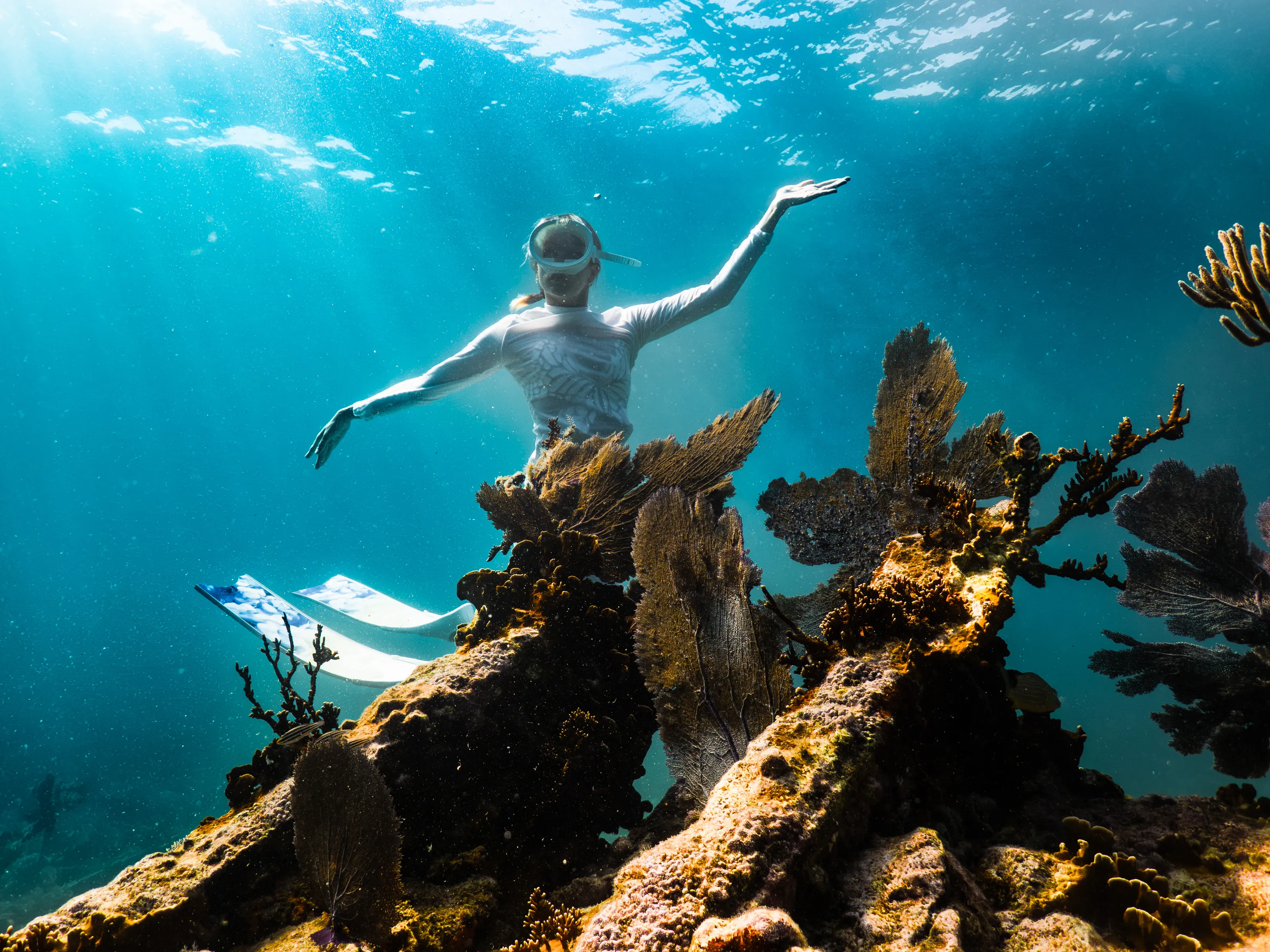 Underwater Artists, Performers and Freedivers