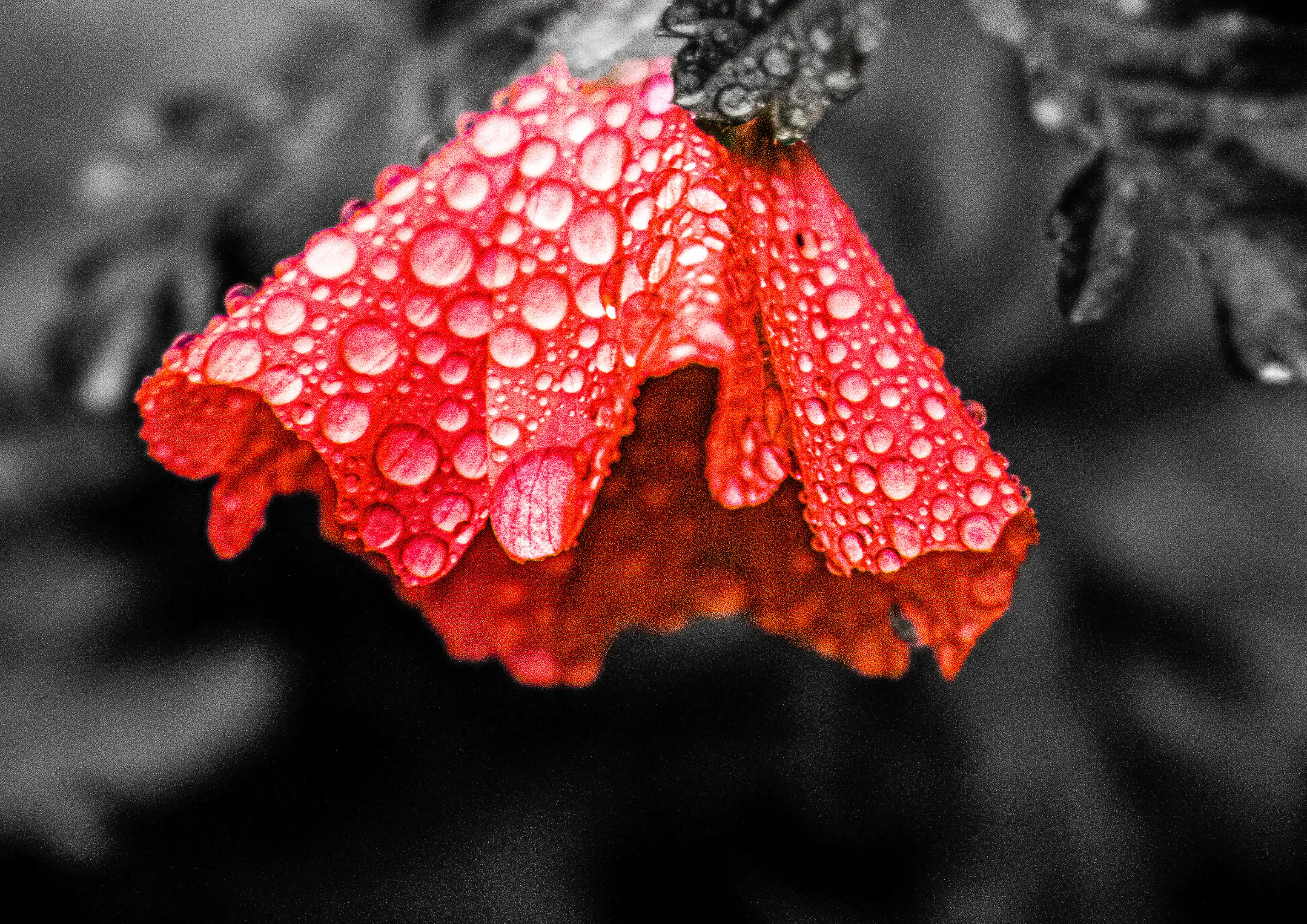 Fragility