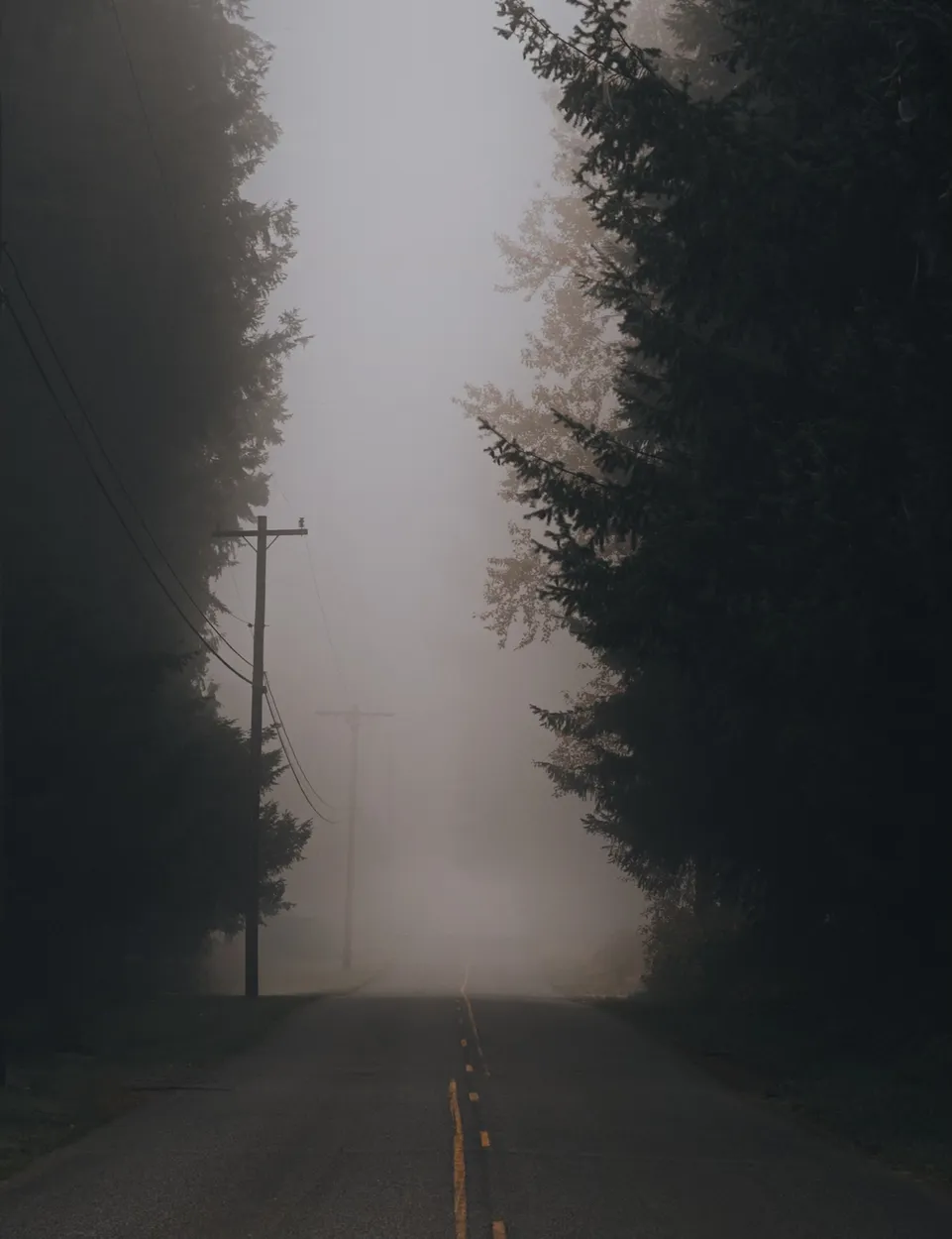 Entry 28062863