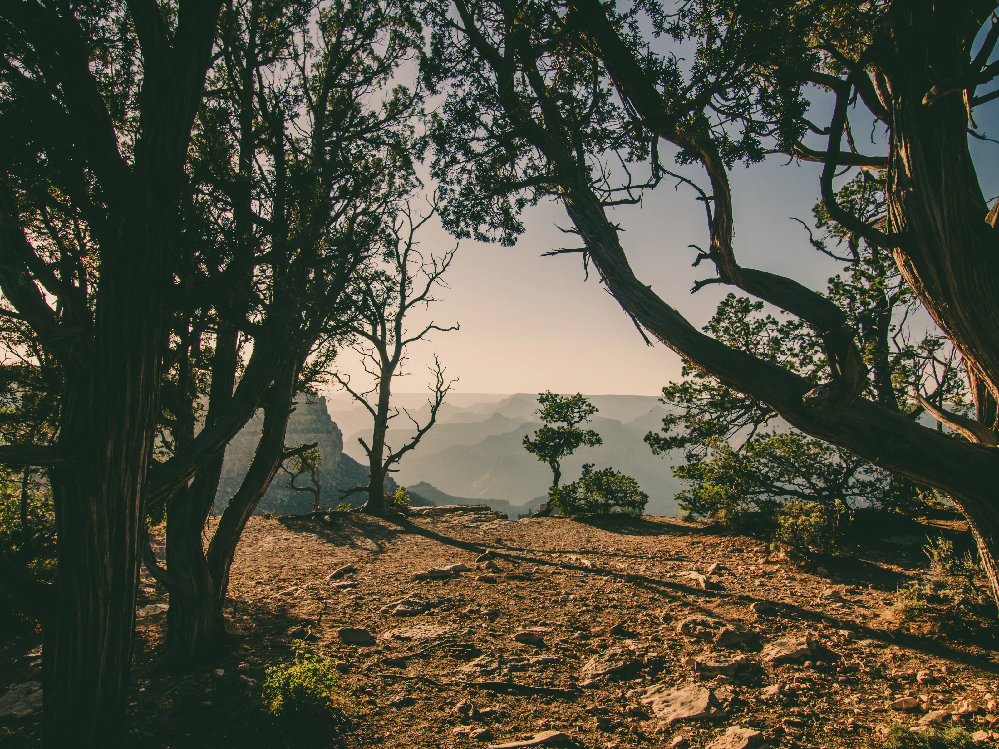 View Out over the canyon