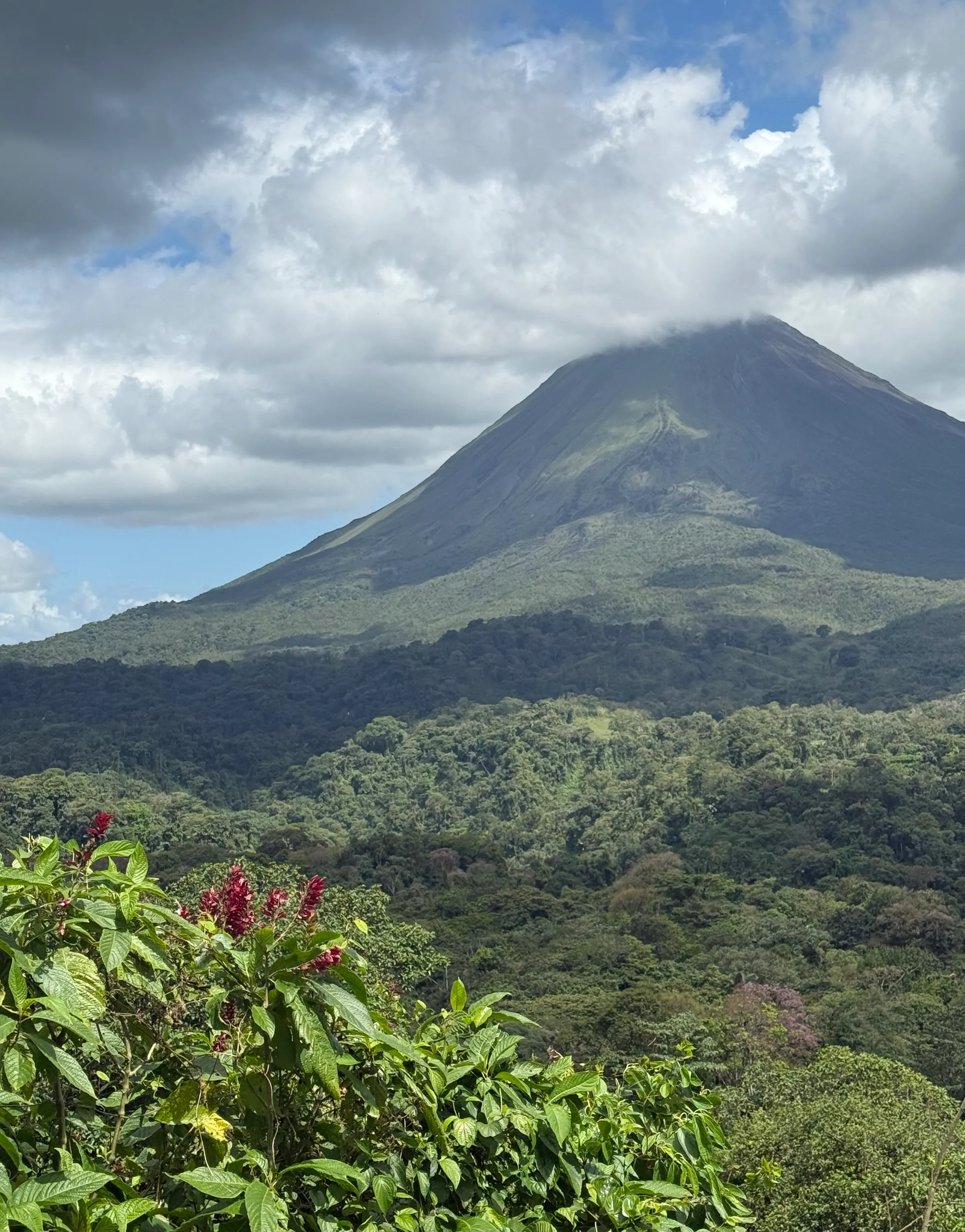 Arenal