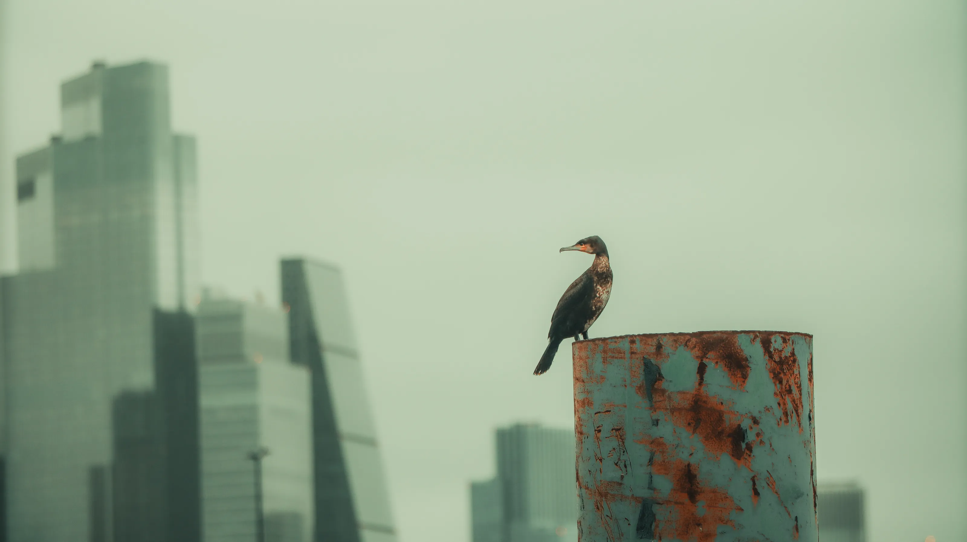 Perching on progress