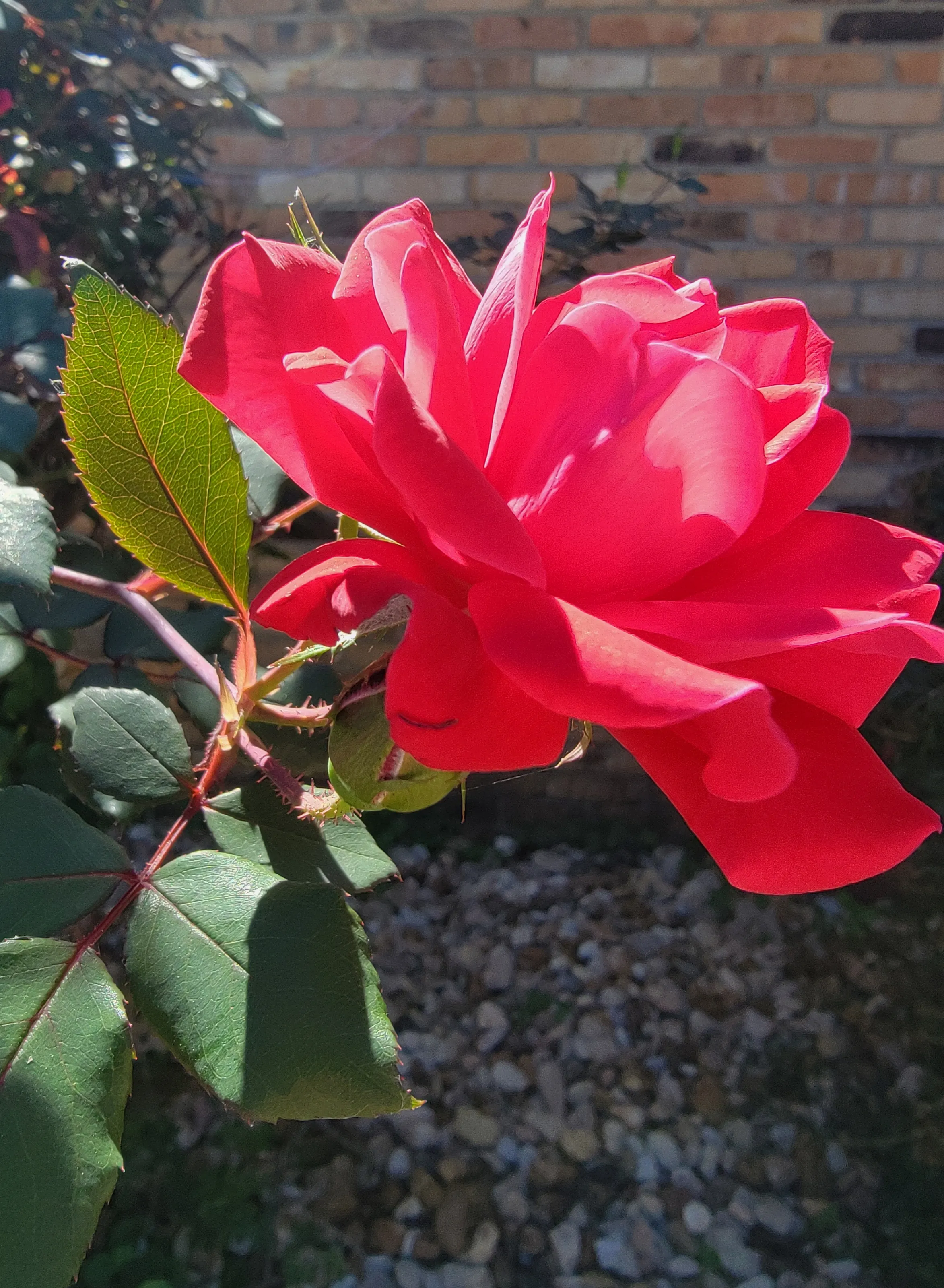 Springtime Promises