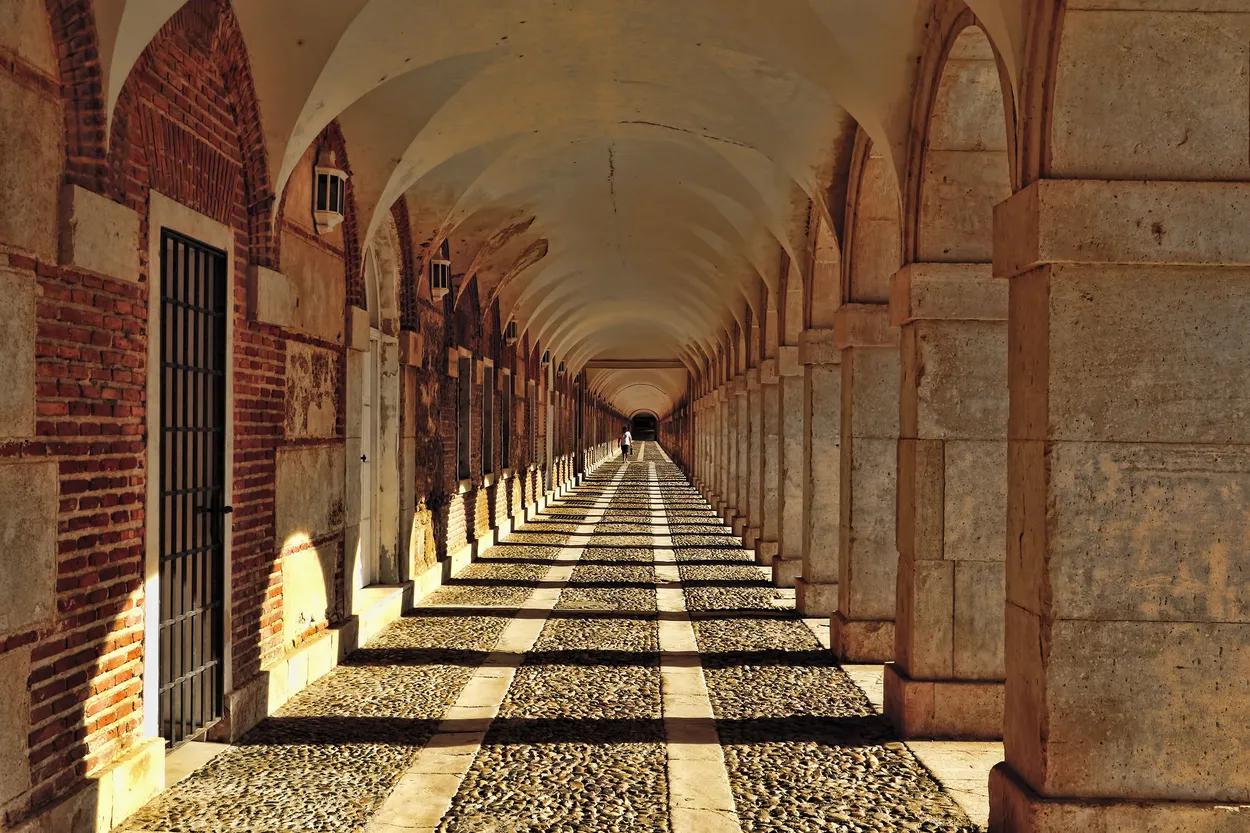 Entry 28006762