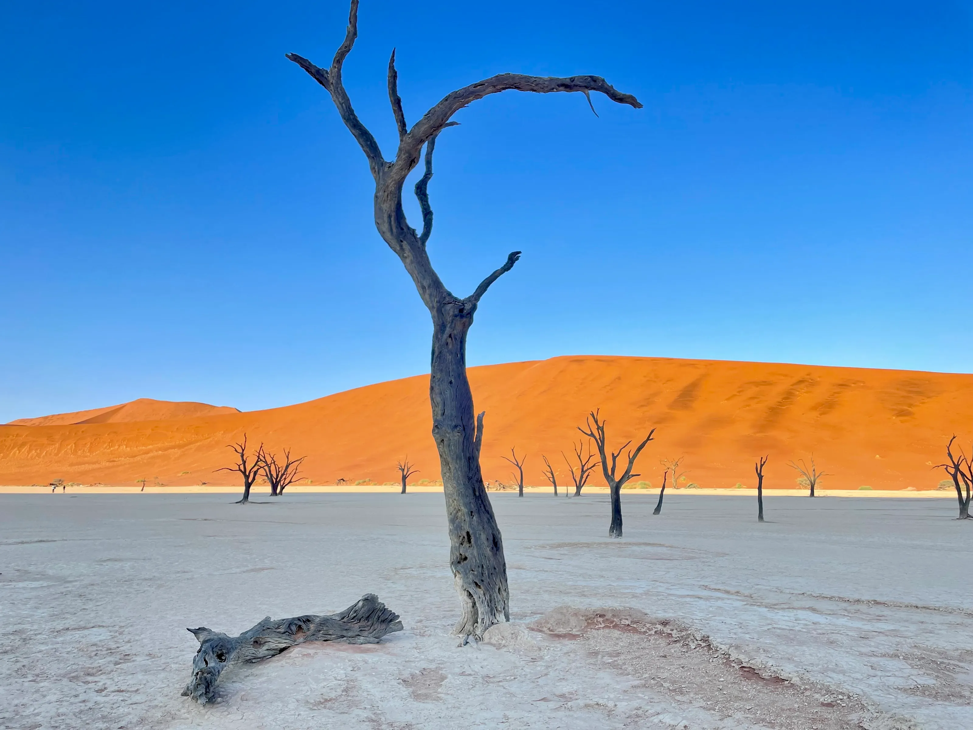 Namibia (in colour)