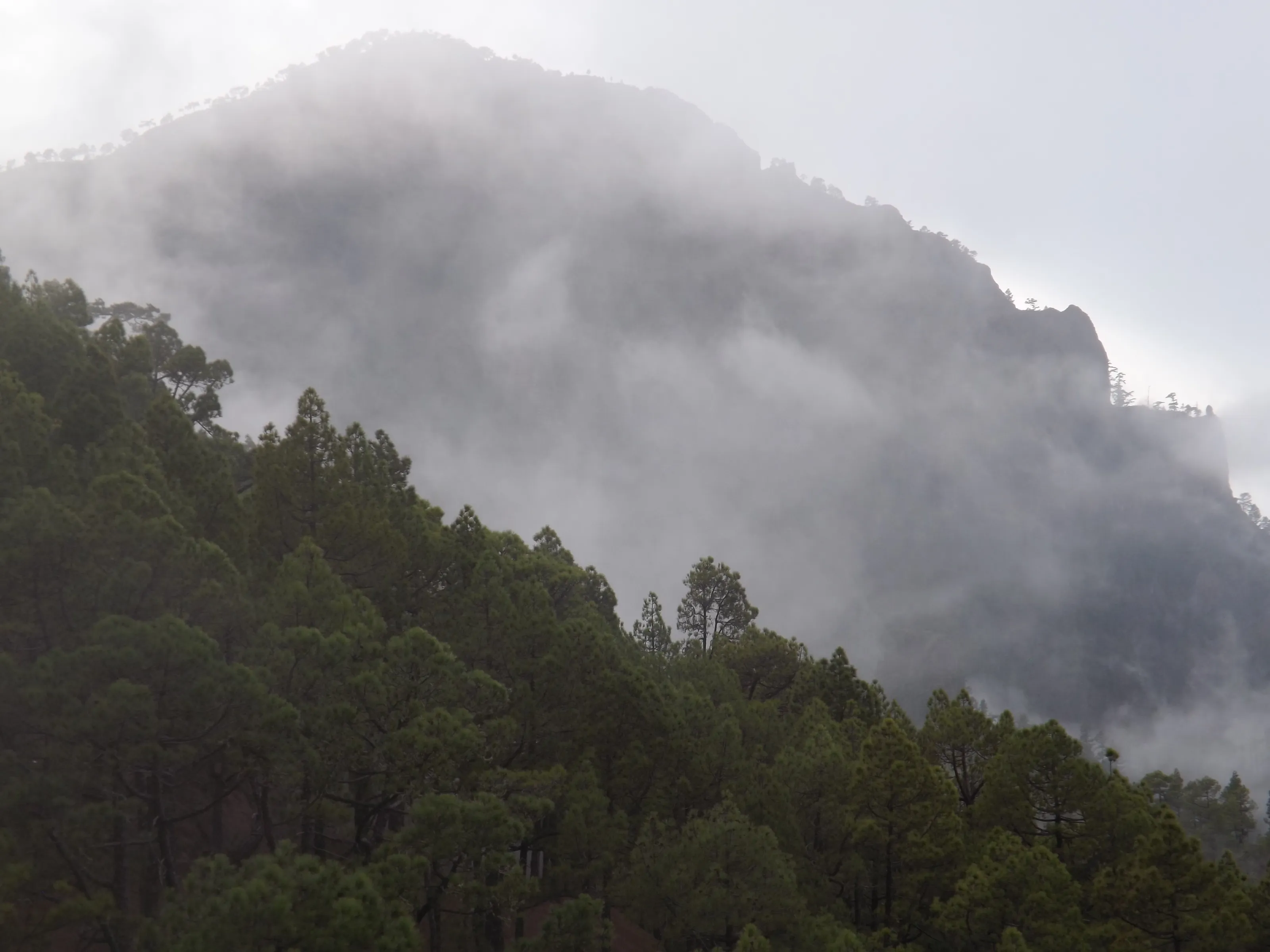 Misty mountain in the med