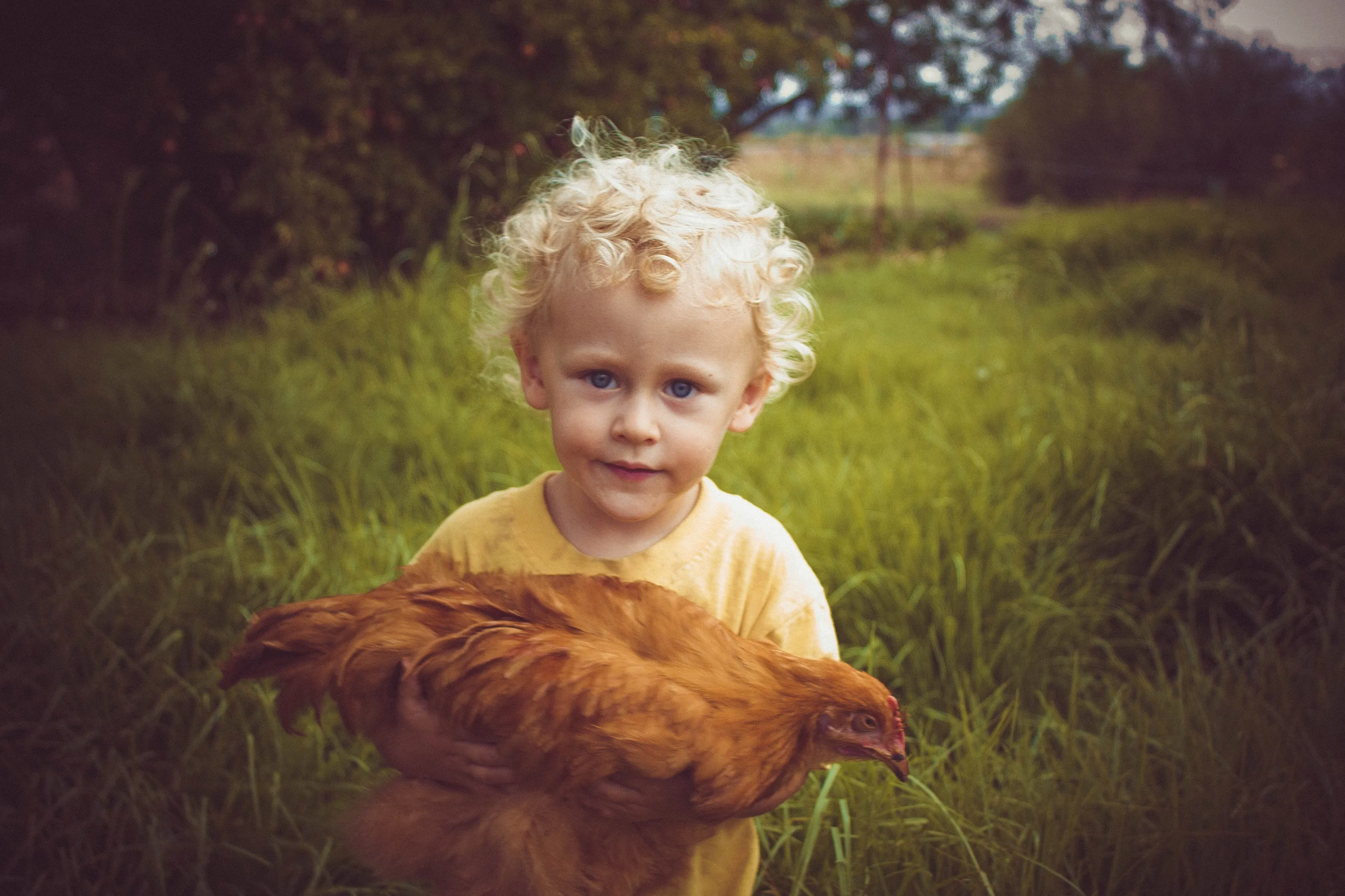 Little Farm Boy