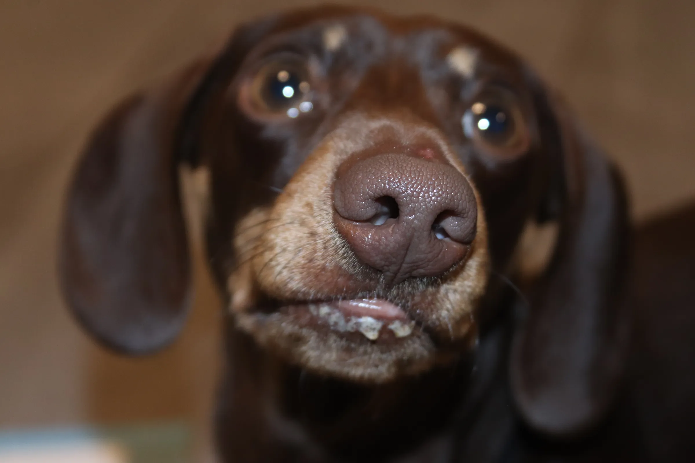 Peanut butter mouth