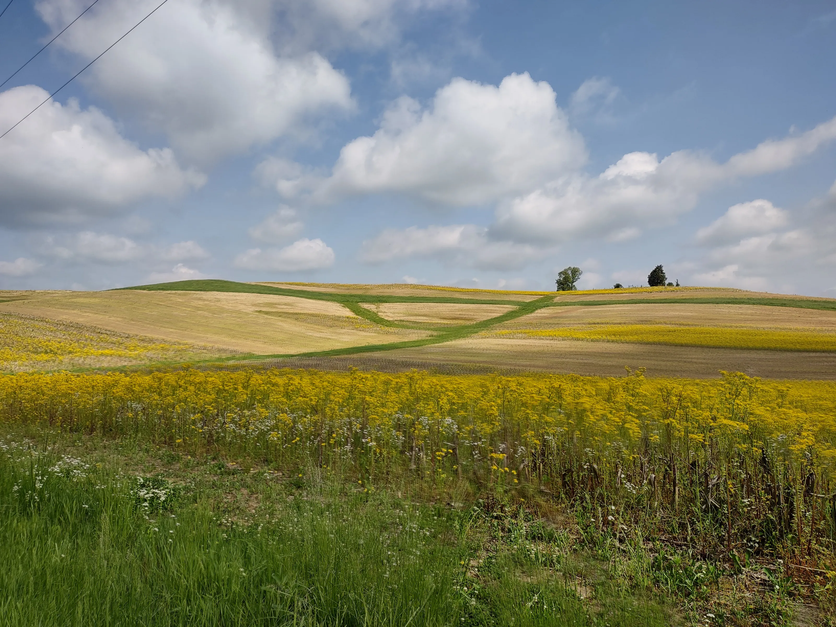 country ride