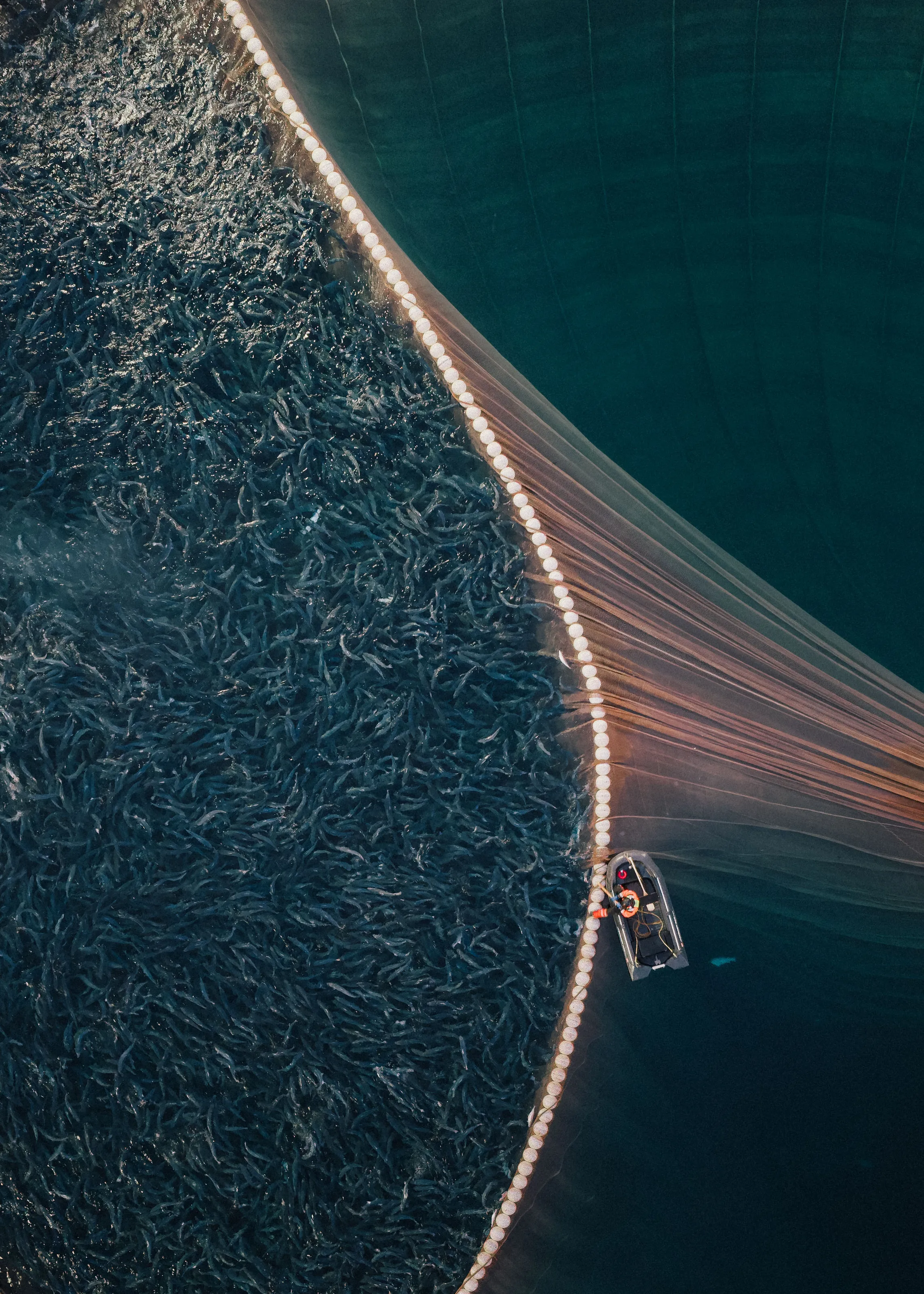 Salmon farm
