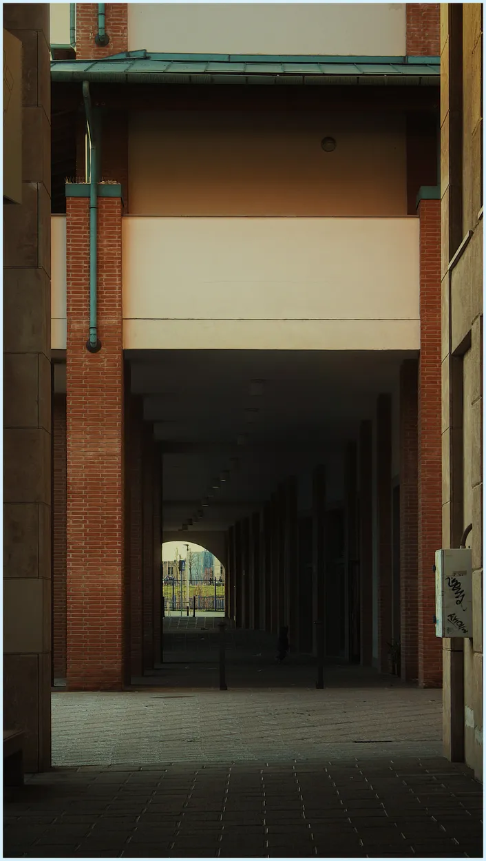 Entry 28042321