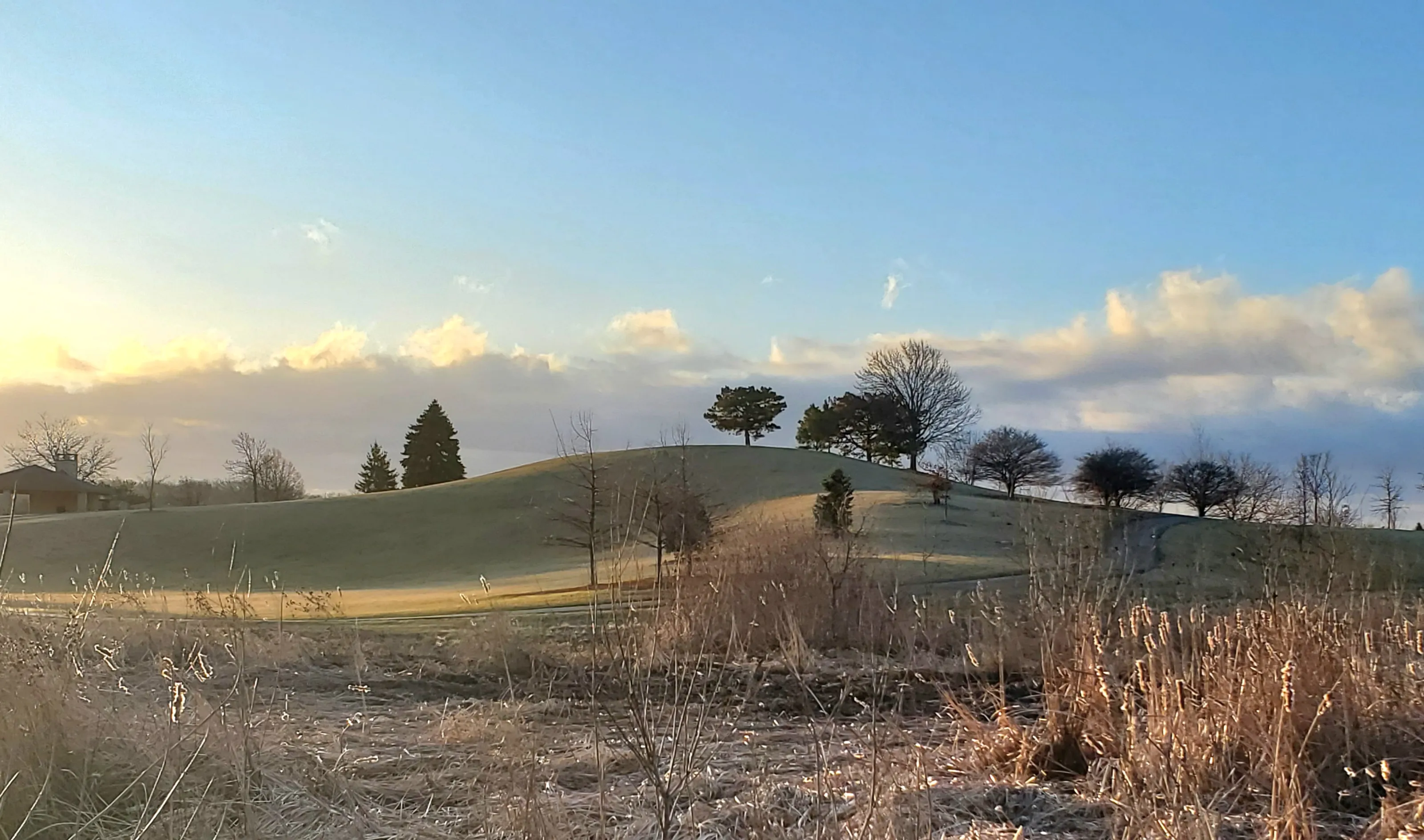 Morning Walk