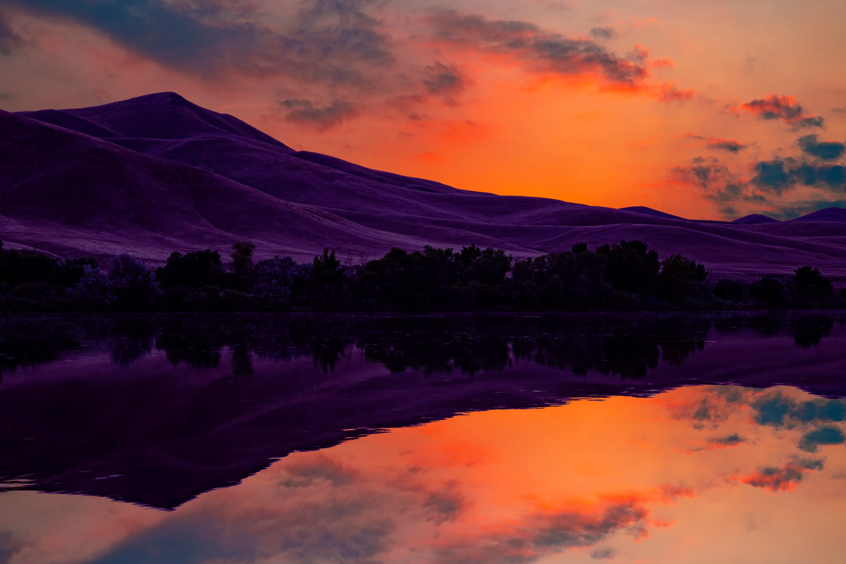 Purple hills