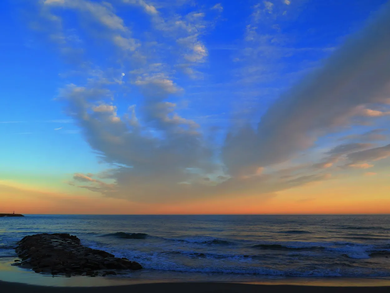 Wings of the Horizon