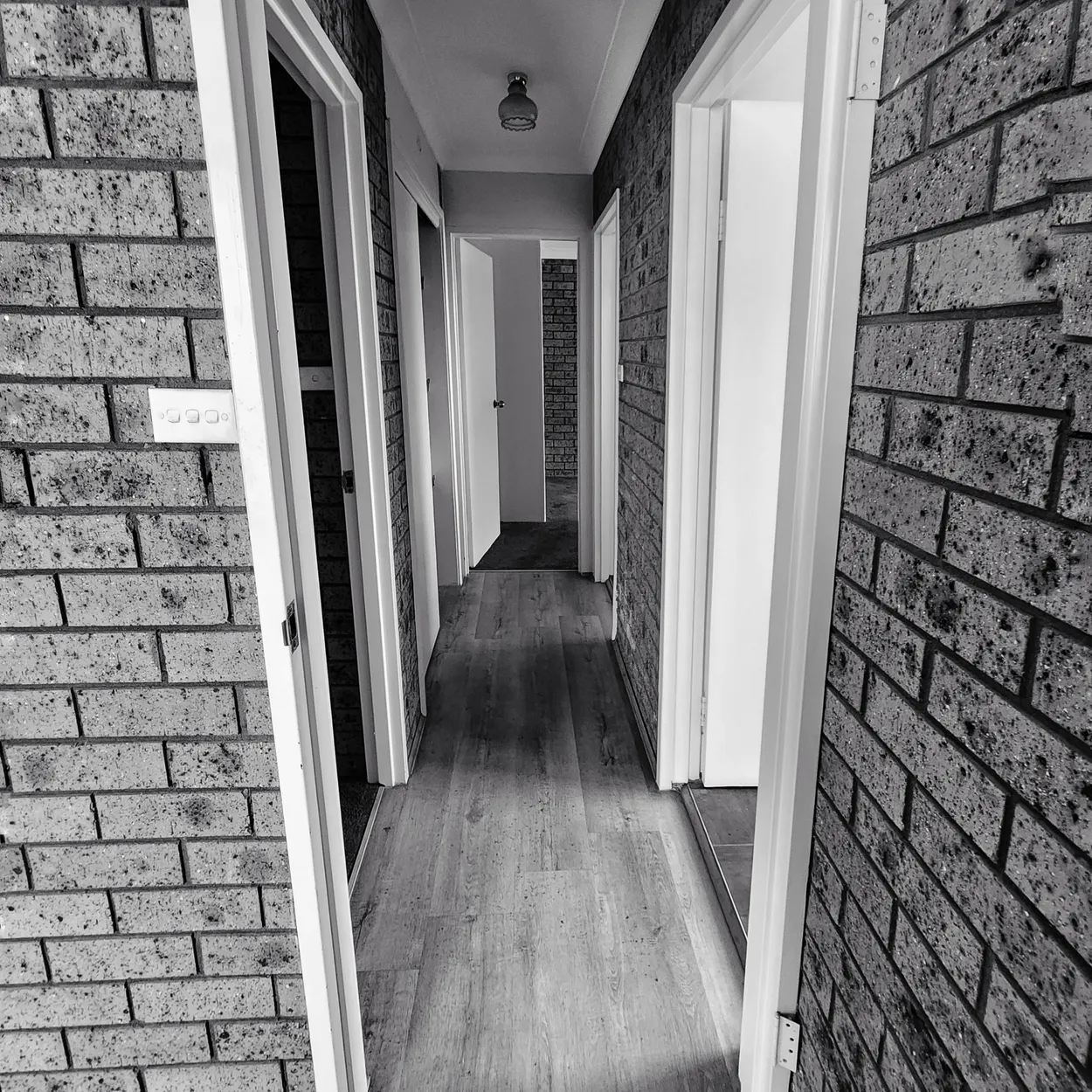 Entry 28054812