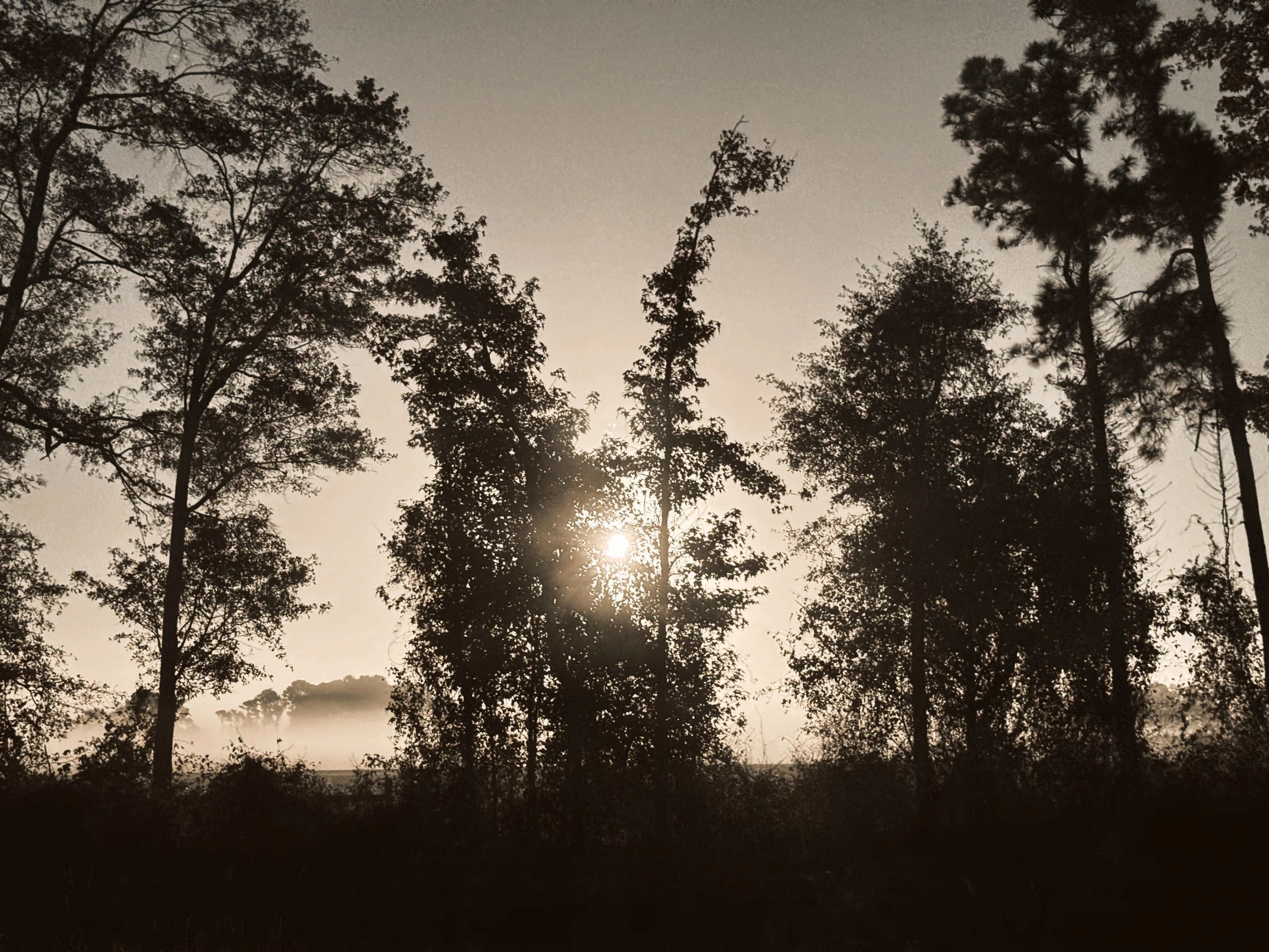 Reconcile