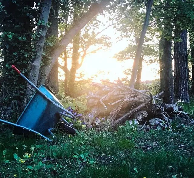 Hidden garden