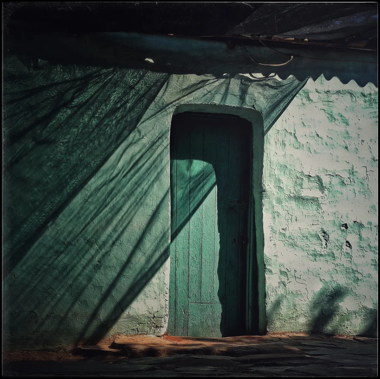 Entry 28063971