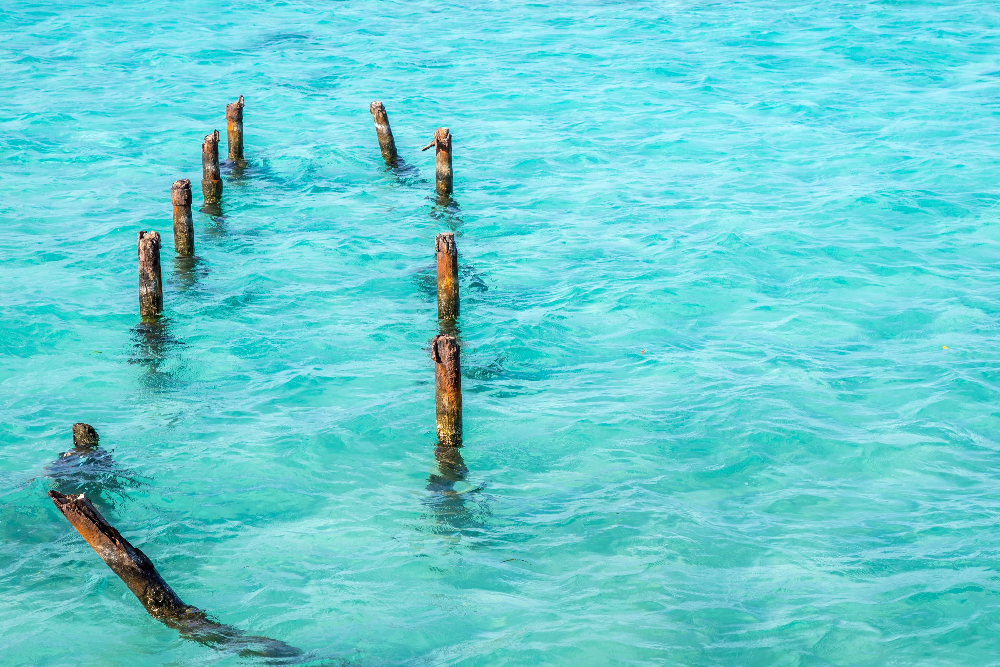 Turquoise Aruba