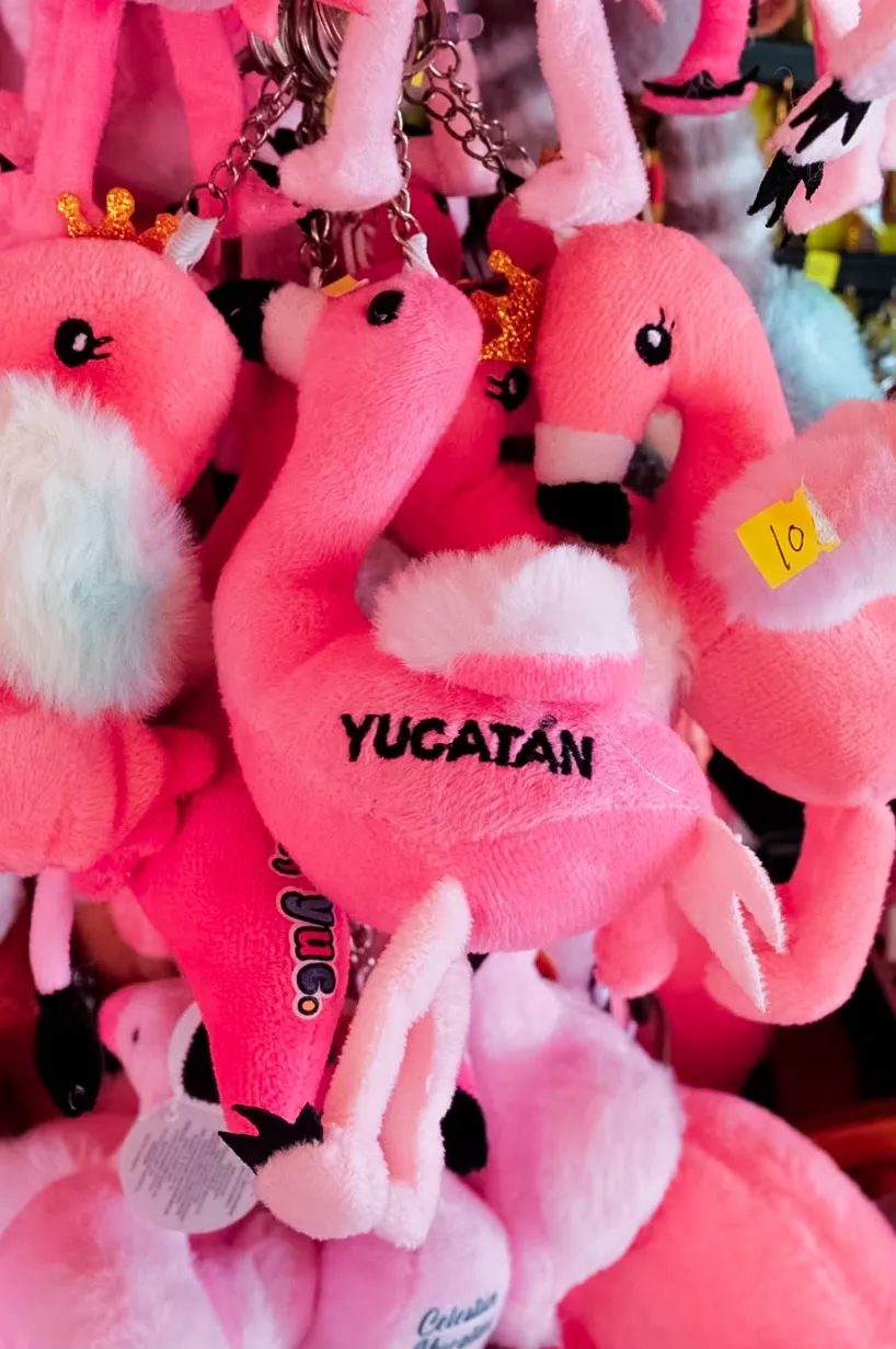 Flamingos To Go