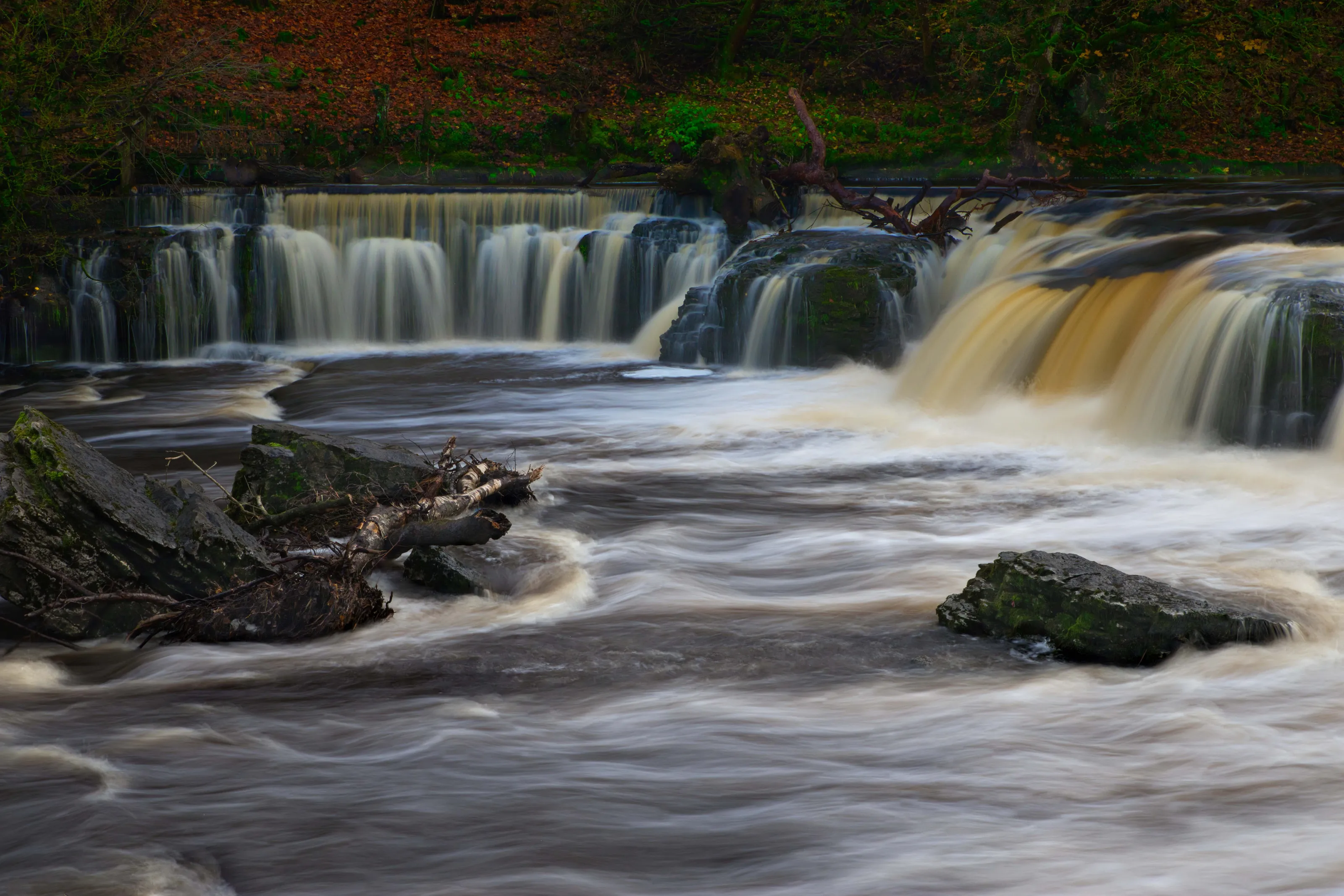 Aysgarth Falls