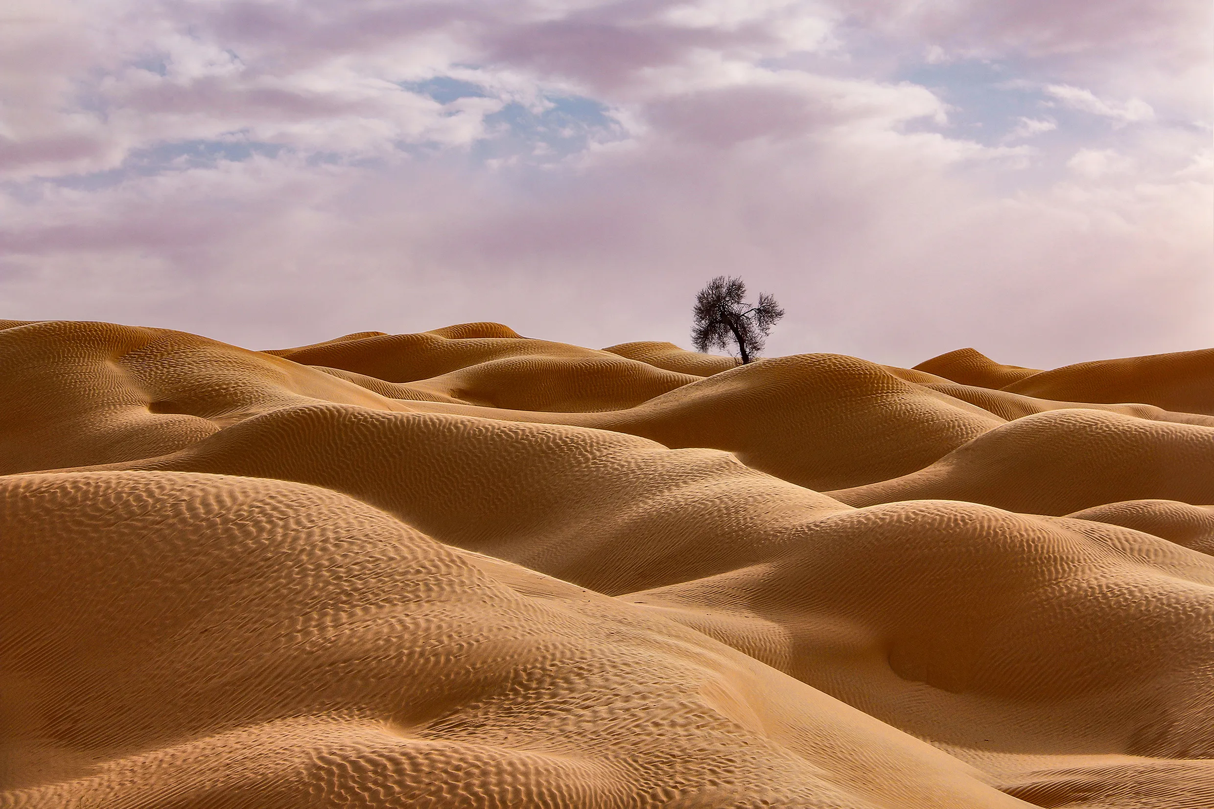 Solitario tra le dune