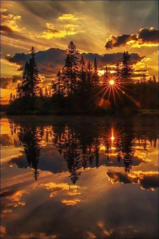 Seymour Arm sunset point