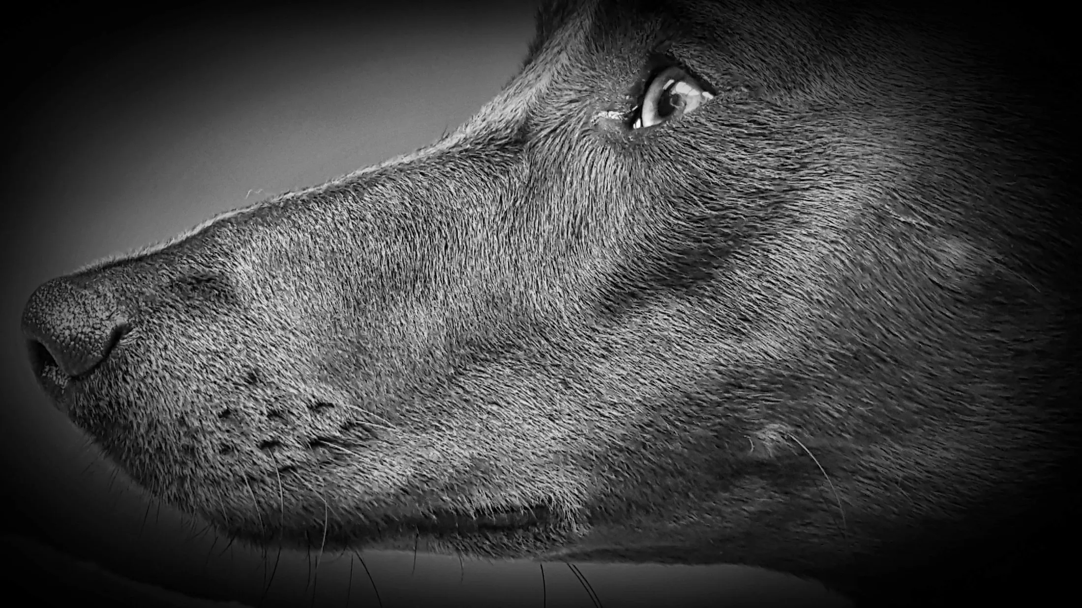 Entry 1476108