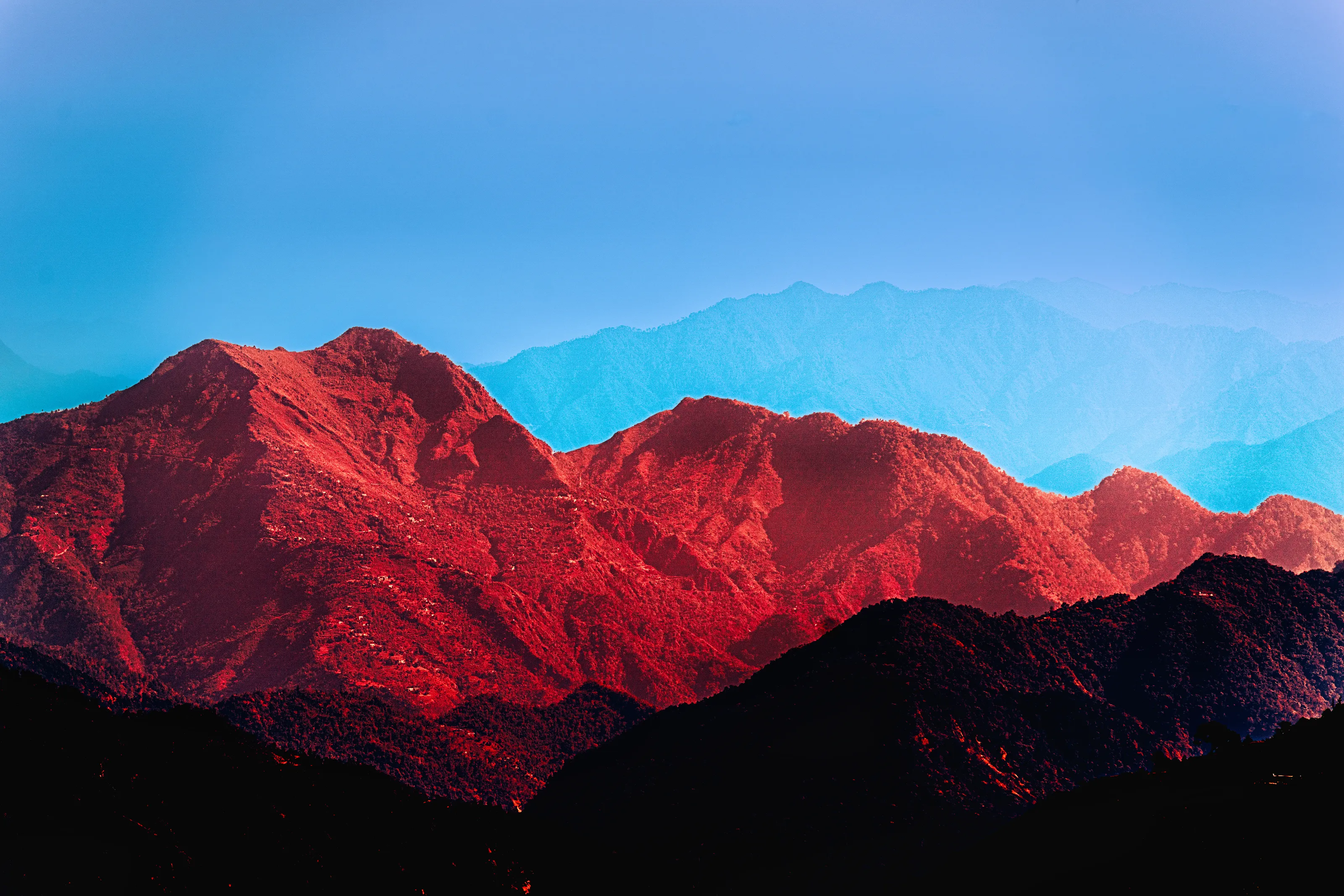 Banner image