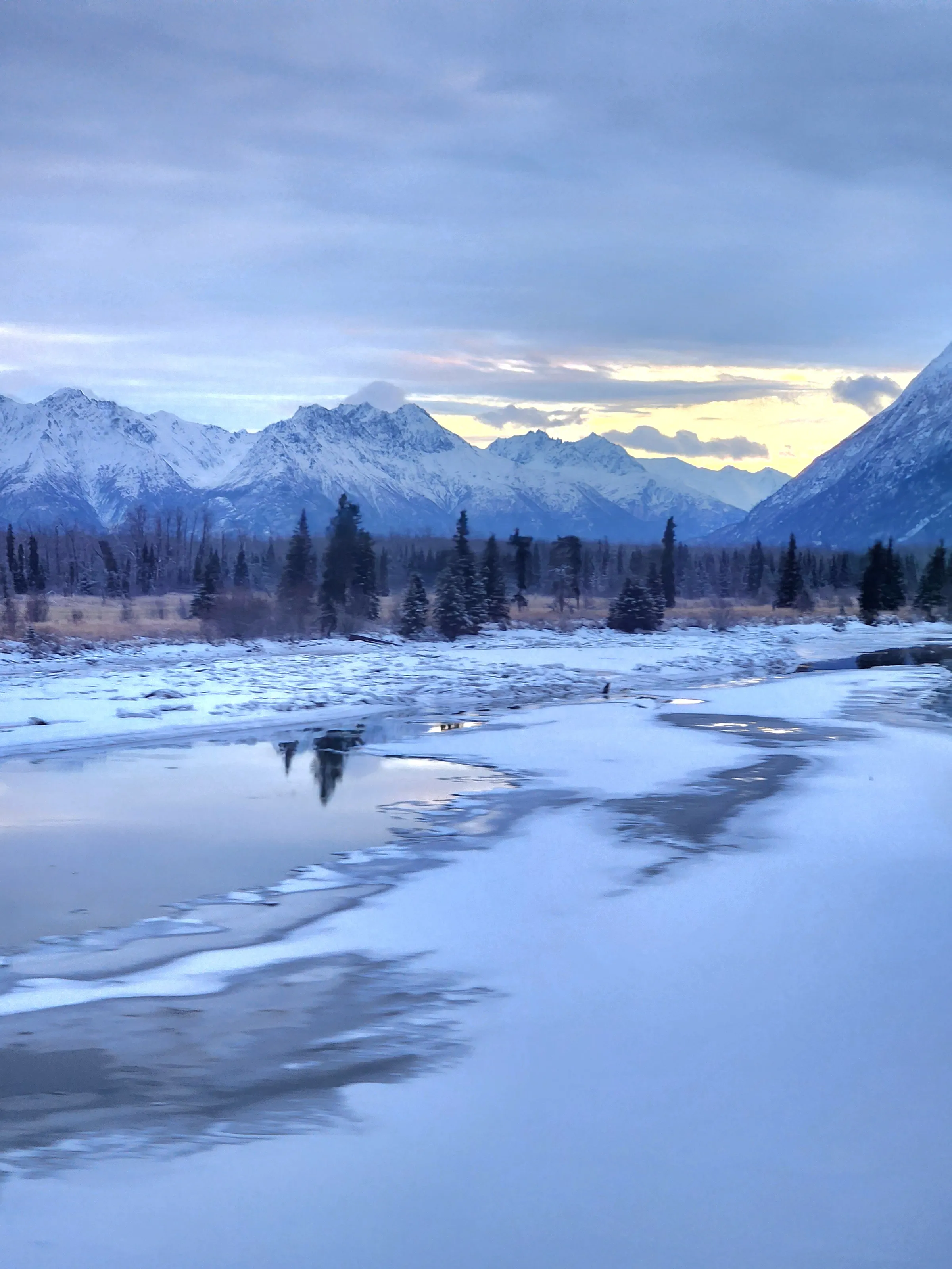 Scenic view from train in Alaska
