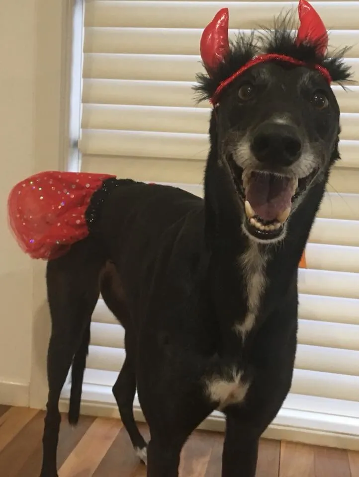 Pia
