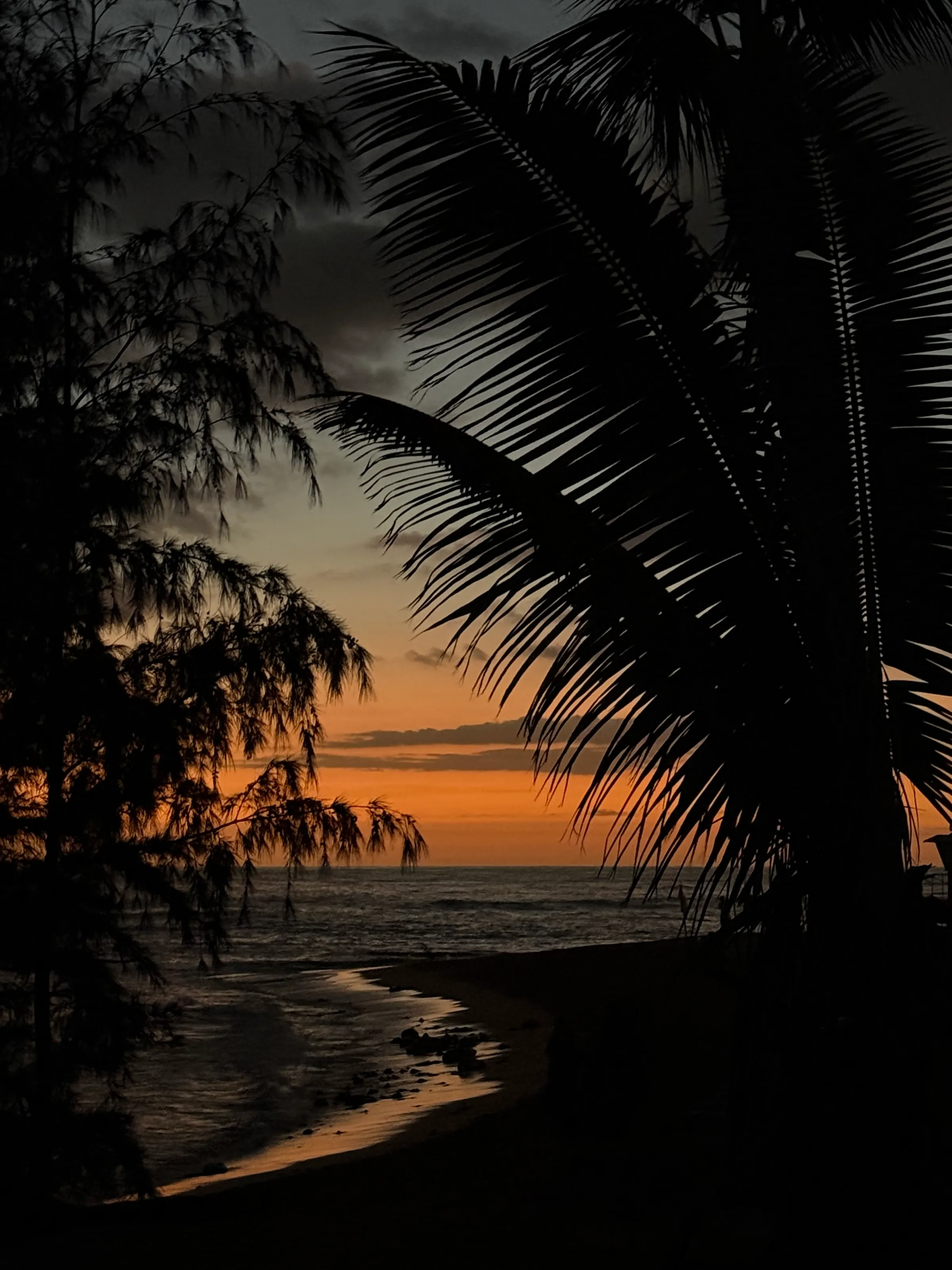 Nights On The Beach