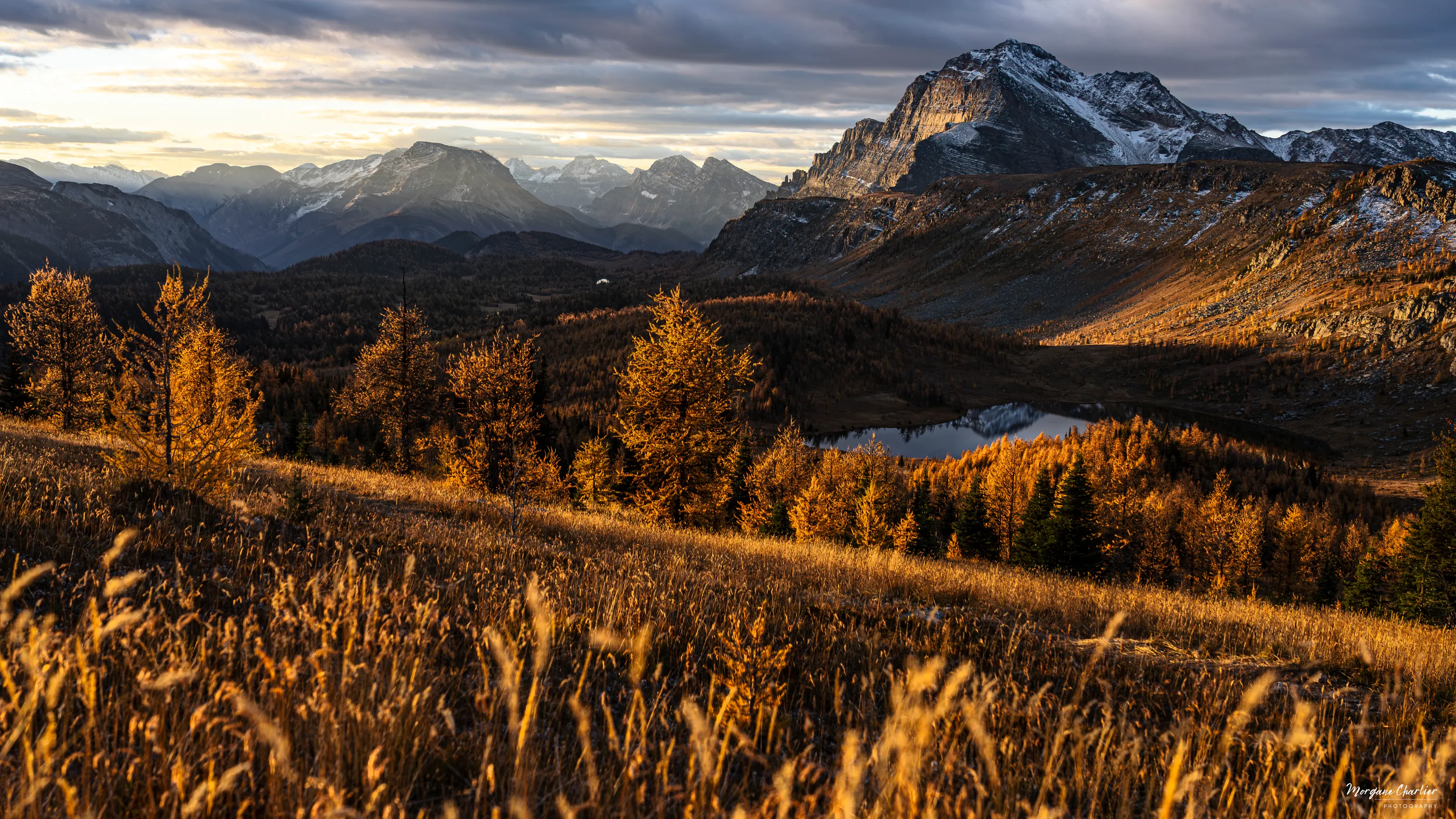 Golden Valley
