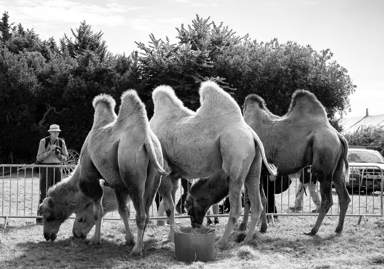 Untitled image