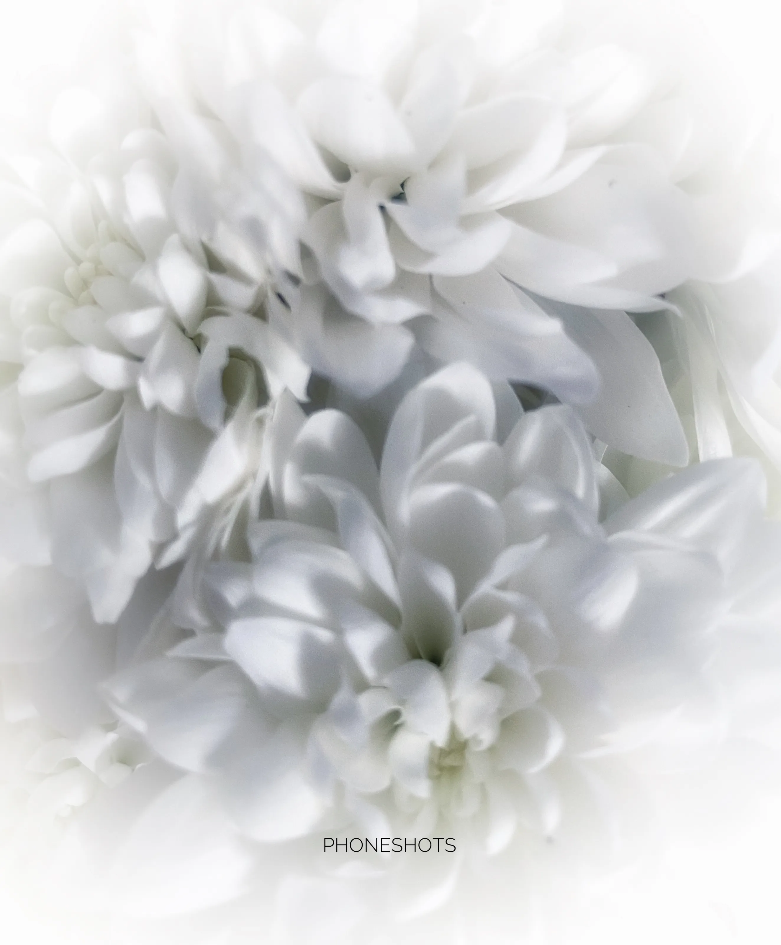 Nights in white satin