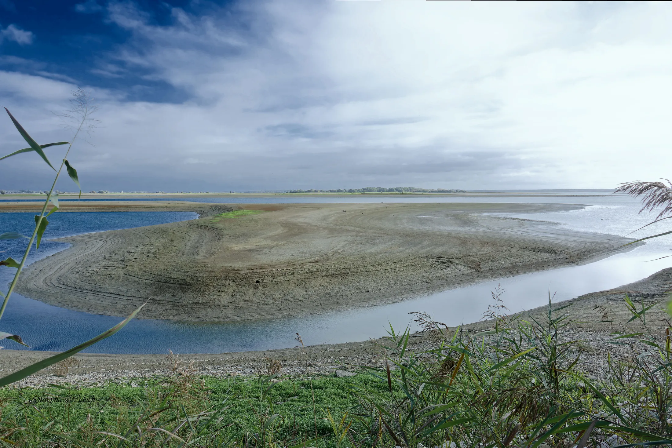 Lac du Der