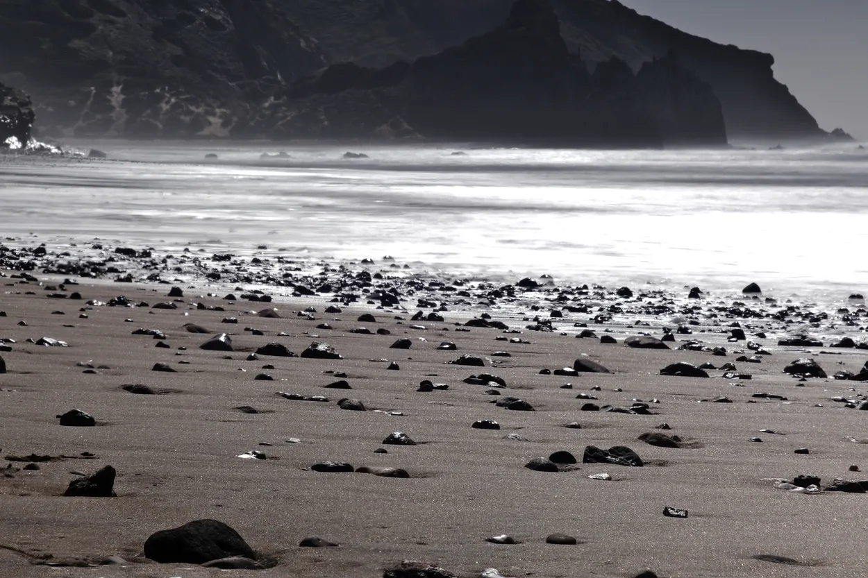 Whispers Along the Rugged Shore