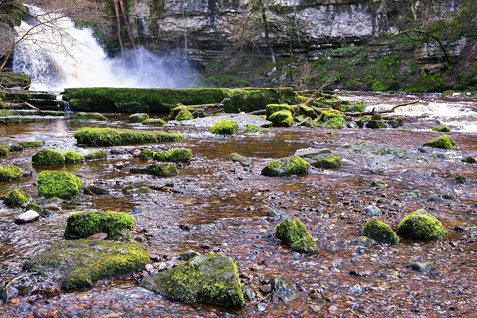 Riverbed