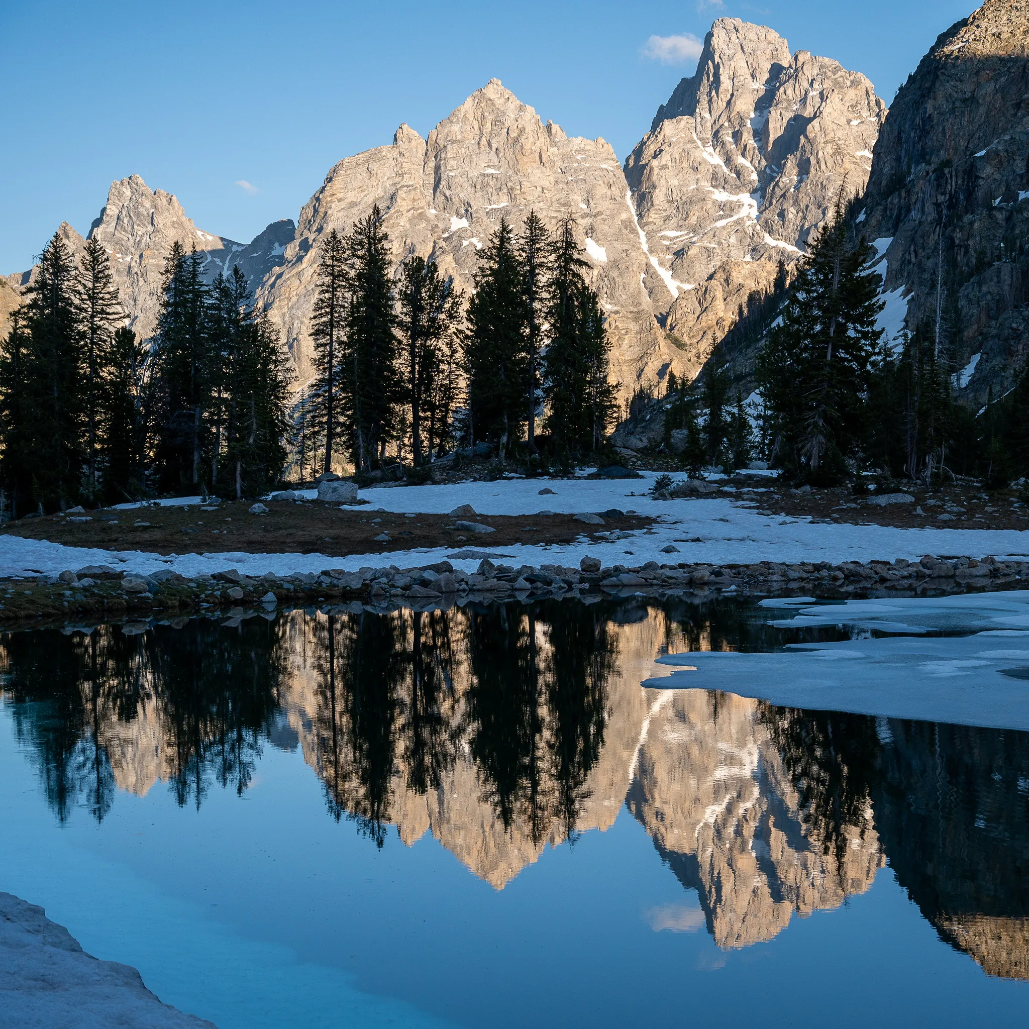 A Solitary Reflection