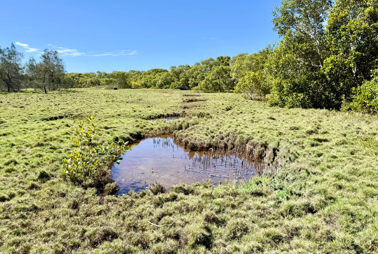 Heart Shape Marshlands