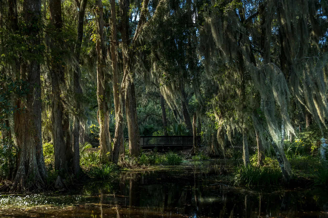 Entry 28184774
