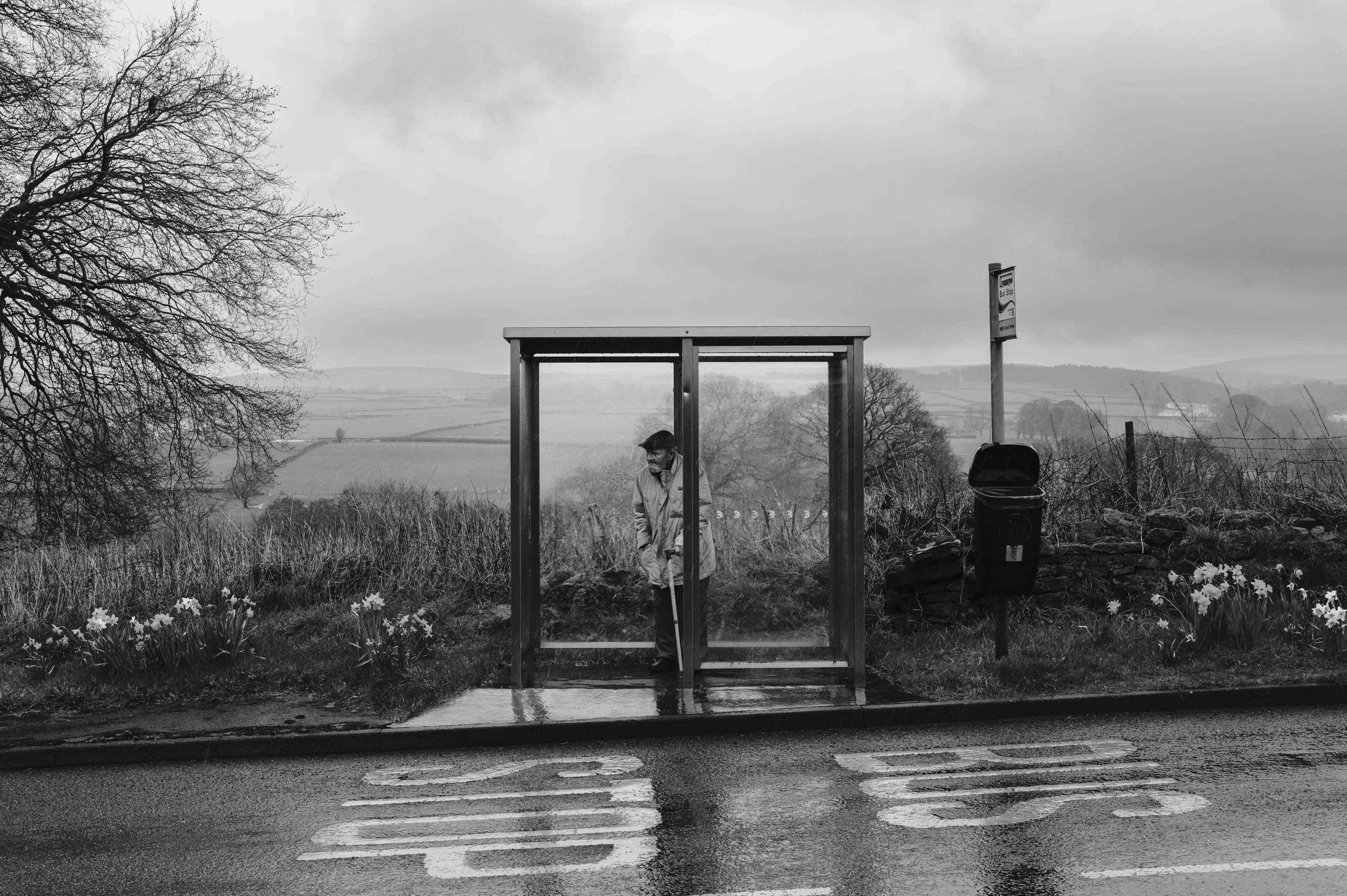 Bus Stop
