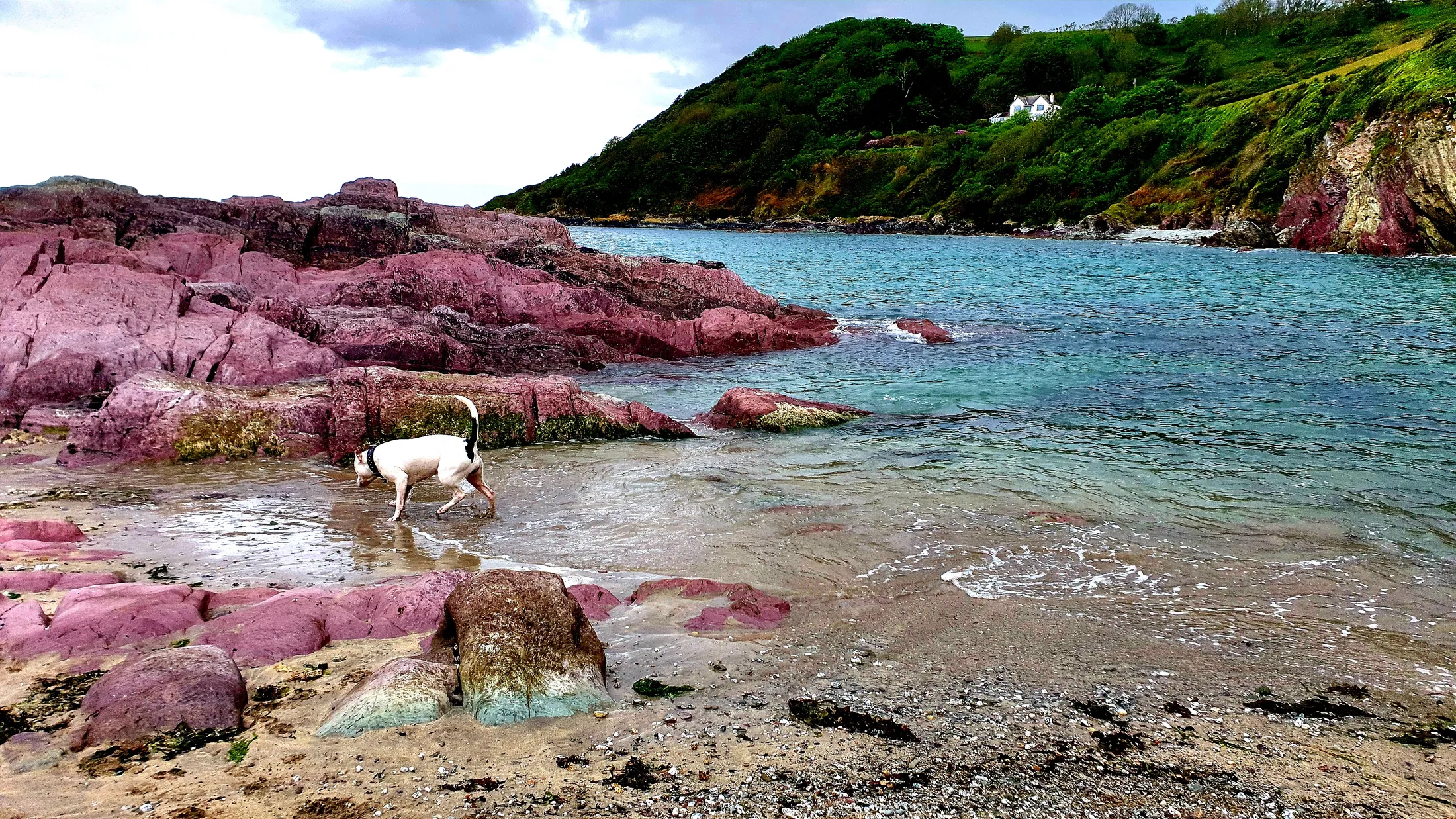 Rugged Beach UK