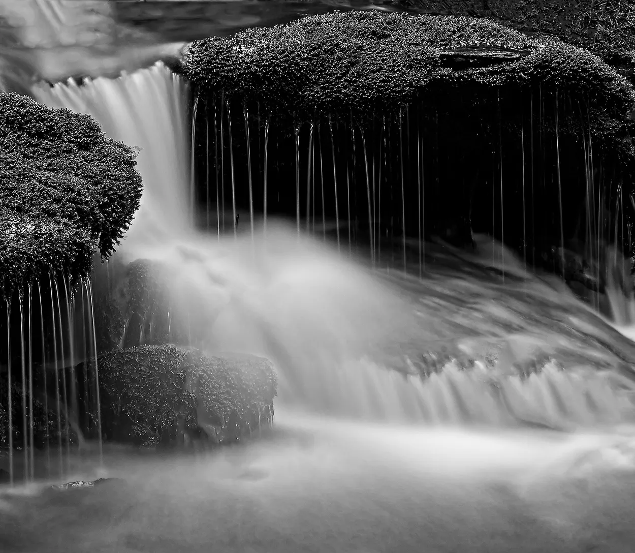 Trickles