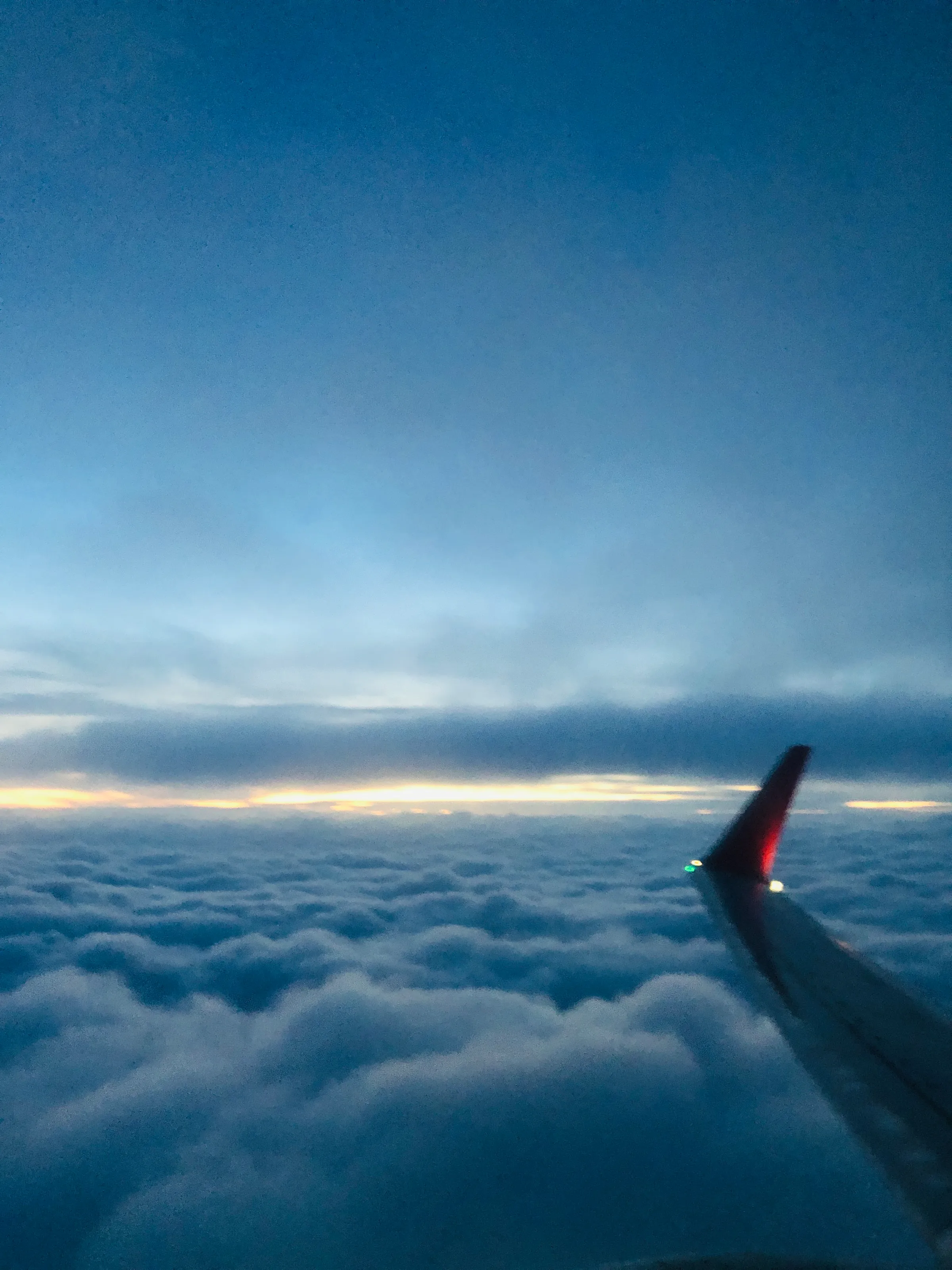 Soar