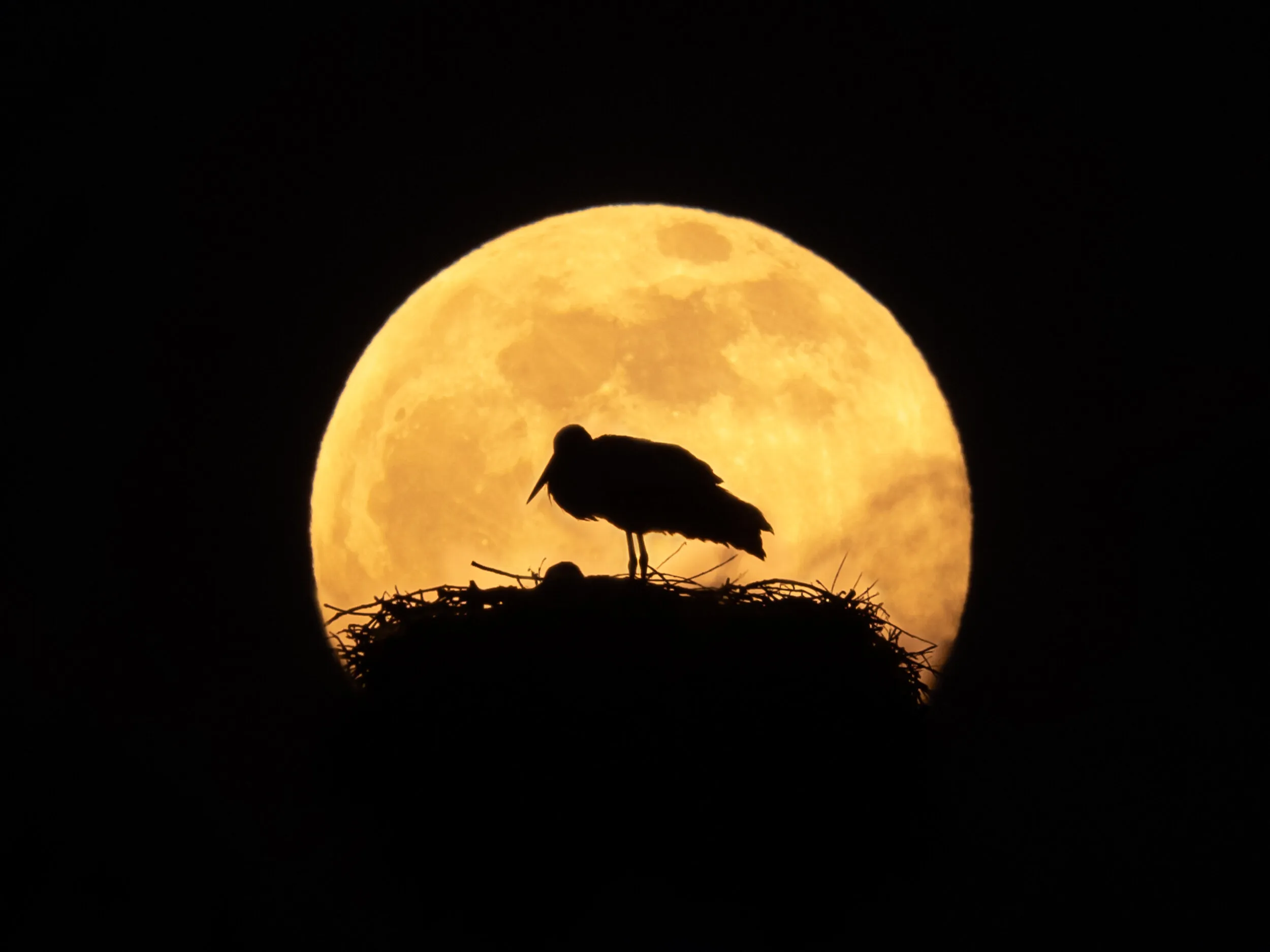 The Moon (in colour)